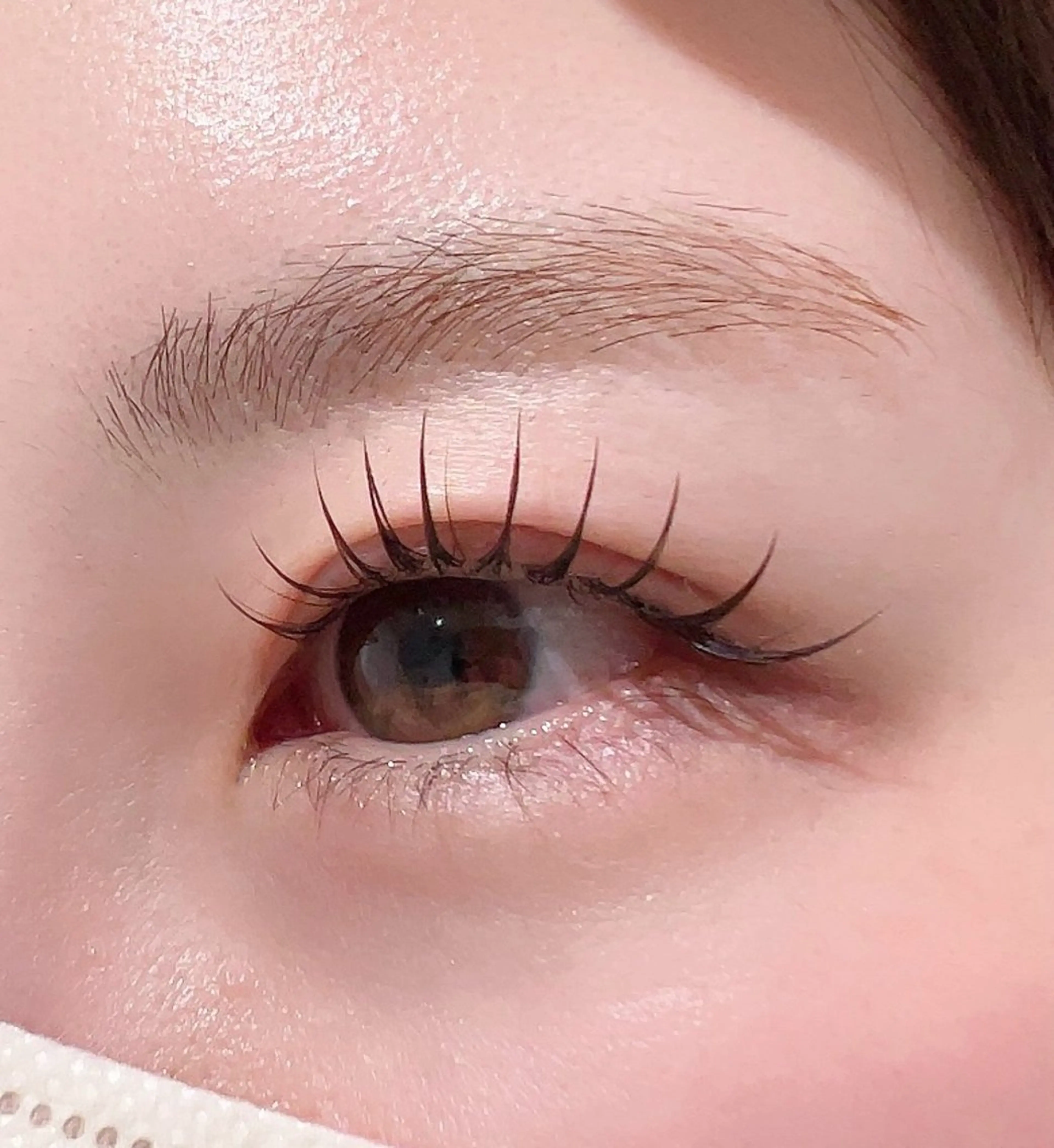 🌼フラットラッシュ140本の写真