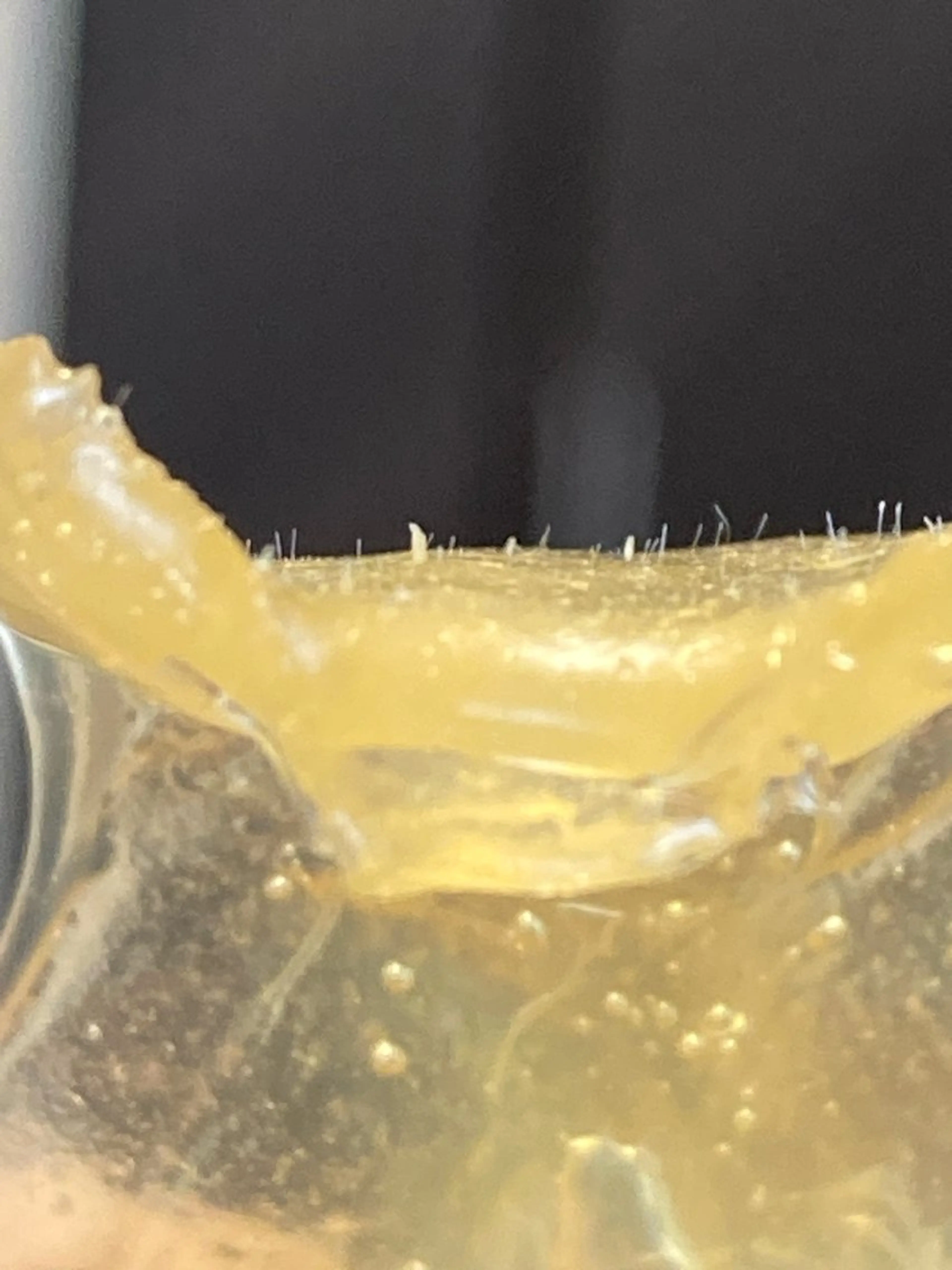 マツヤニホットセラピー＆クレイセラピー【3週間以内のリピーター様限定】の写真