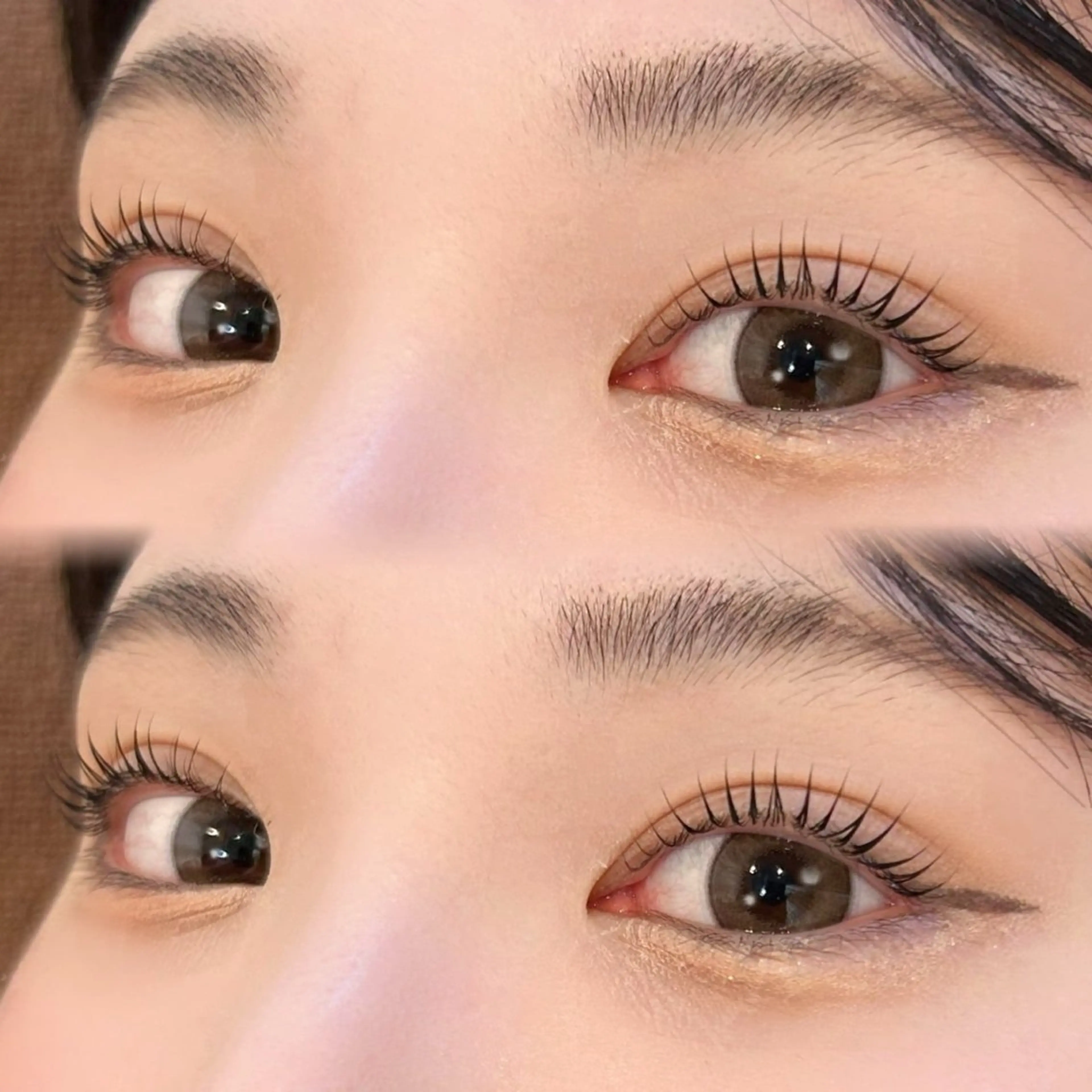【🌹美容液付きメニュー🌹】パッチリ韓国風束感まつ毛パーマ🇰🇷＋ラッシュアディクト付きの写真