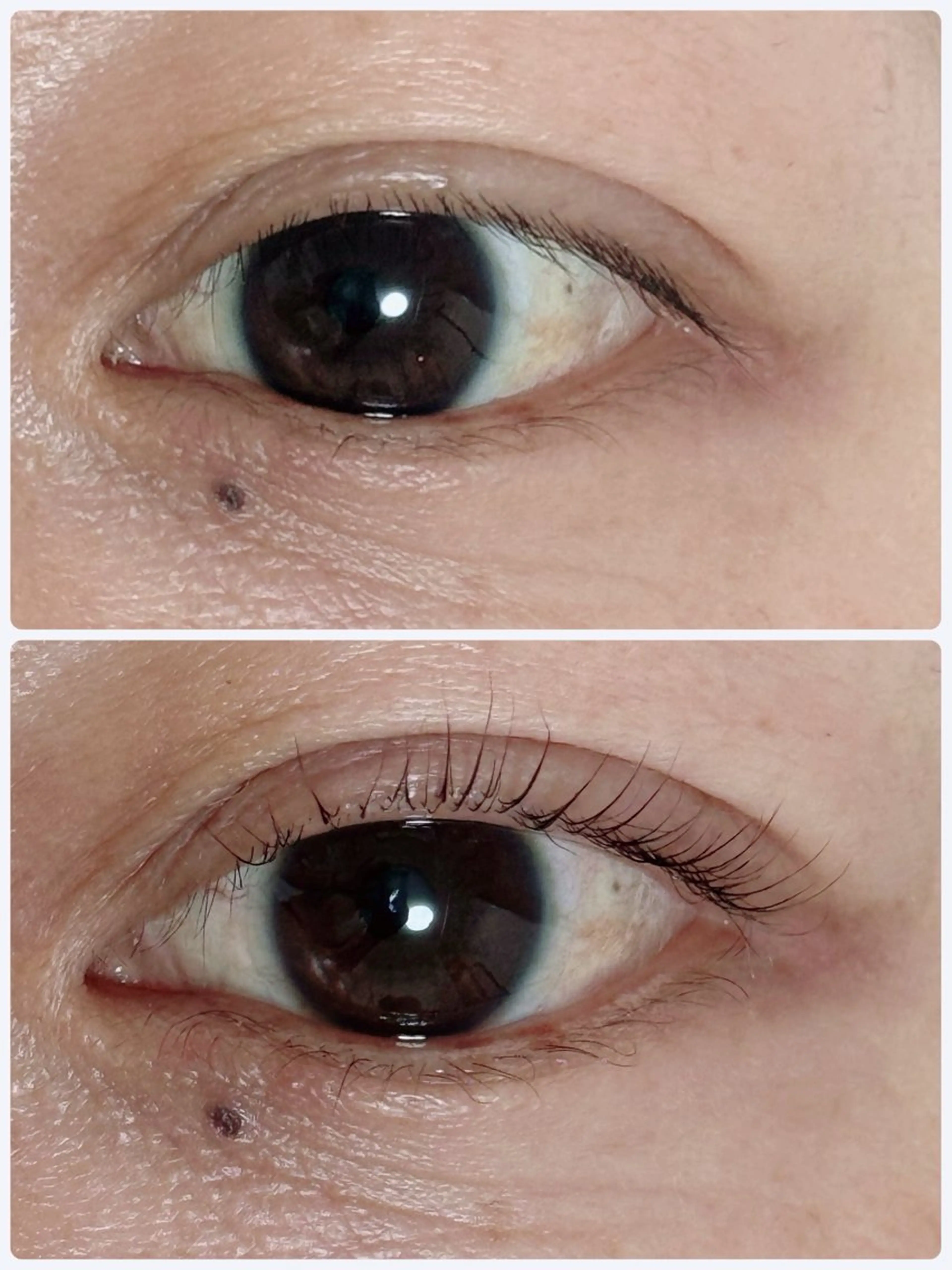 マツエク・マツパ ＆Ａ所属・＆Ａ 甲南山手のエステ・リラクイメージ