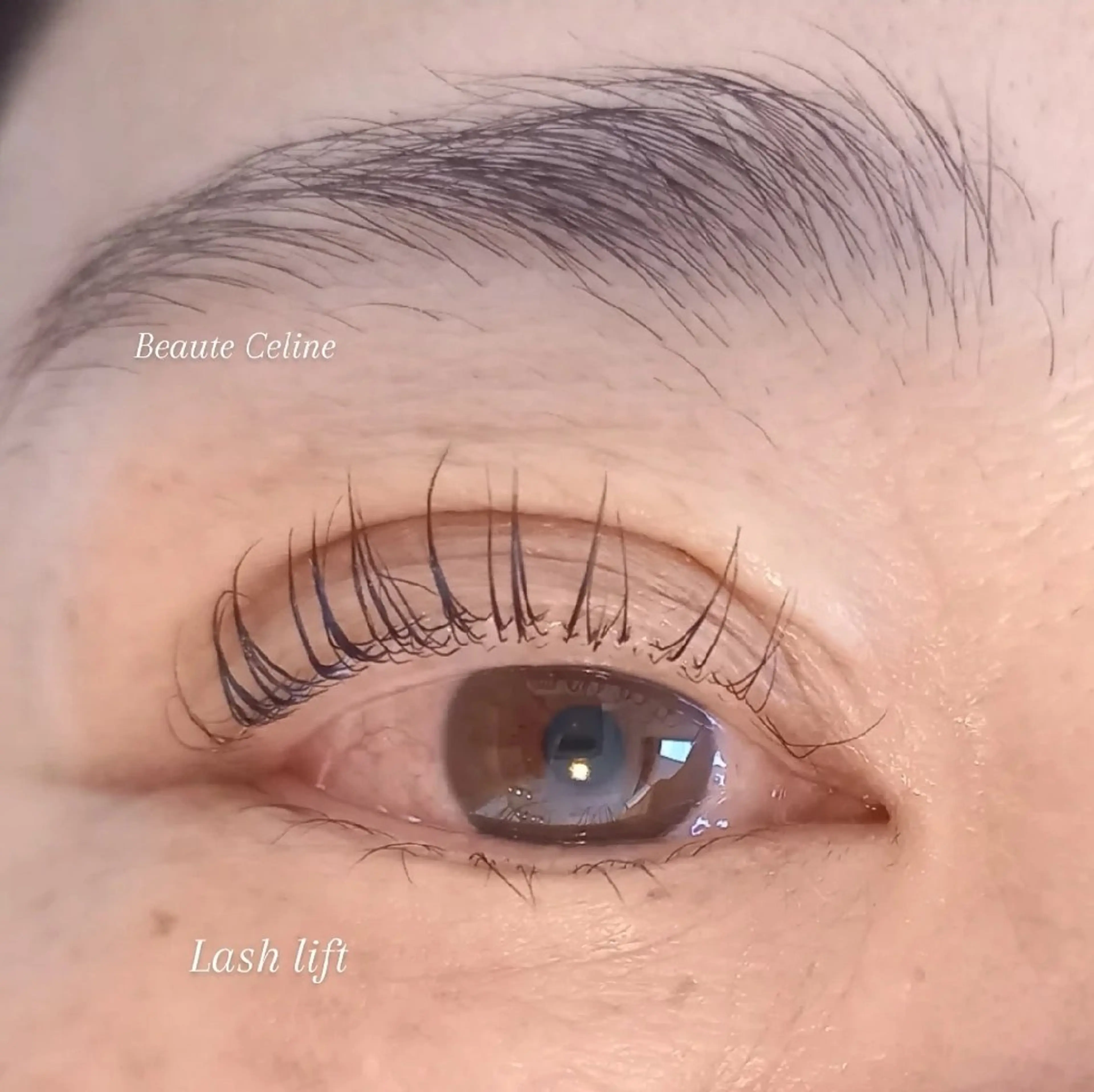 マツエク・マツパ マツパ beaute.celine所属・ぱっちりパーマ🤎 ﾎﾞｰﾃCelineのマツエク・マツパデザイン