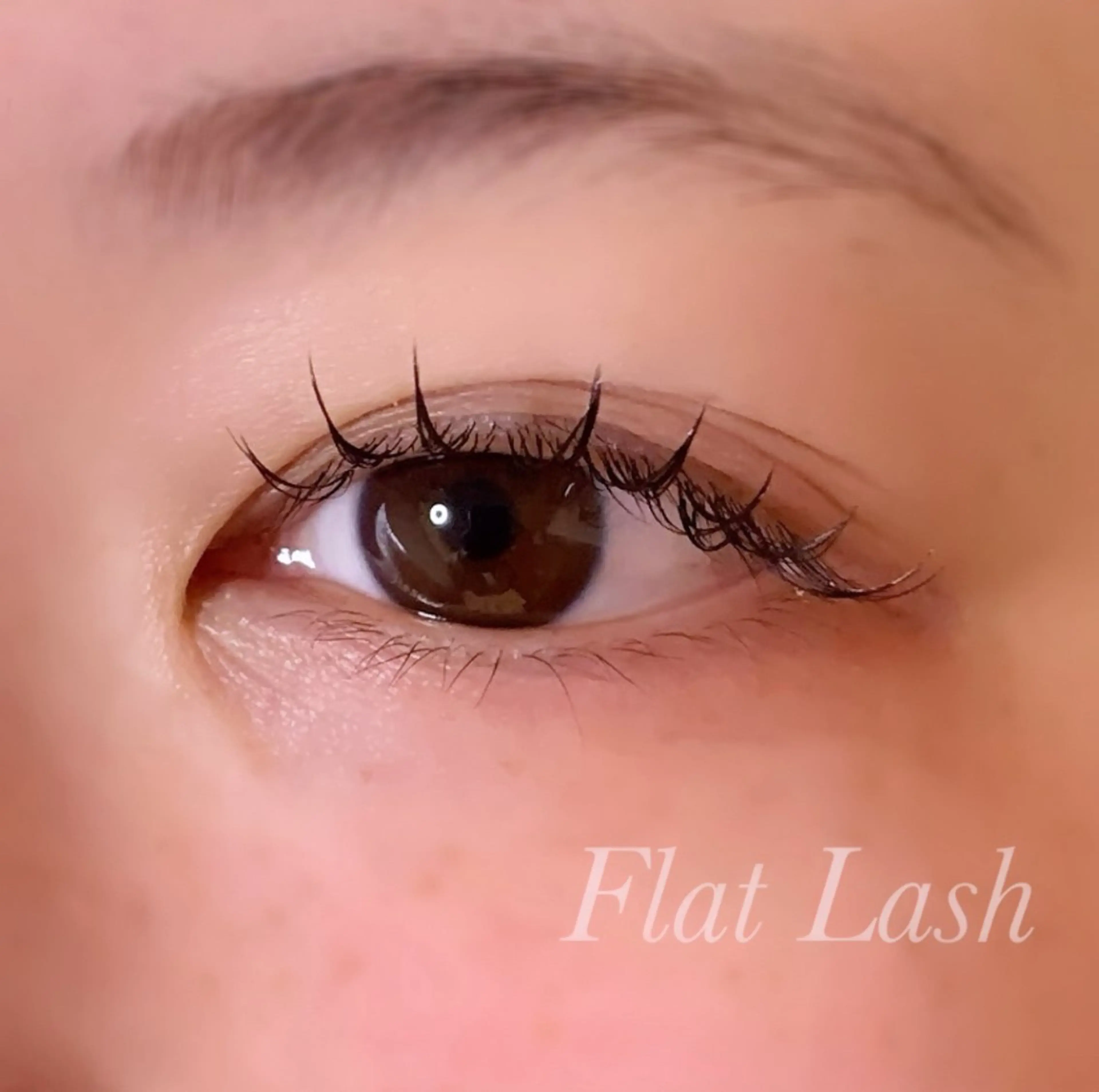 マツエク・マツパ Cカール フラットラッシュ マツエク Ayumi.pro 🍆N《4階》のマツエク・マツパデザイン