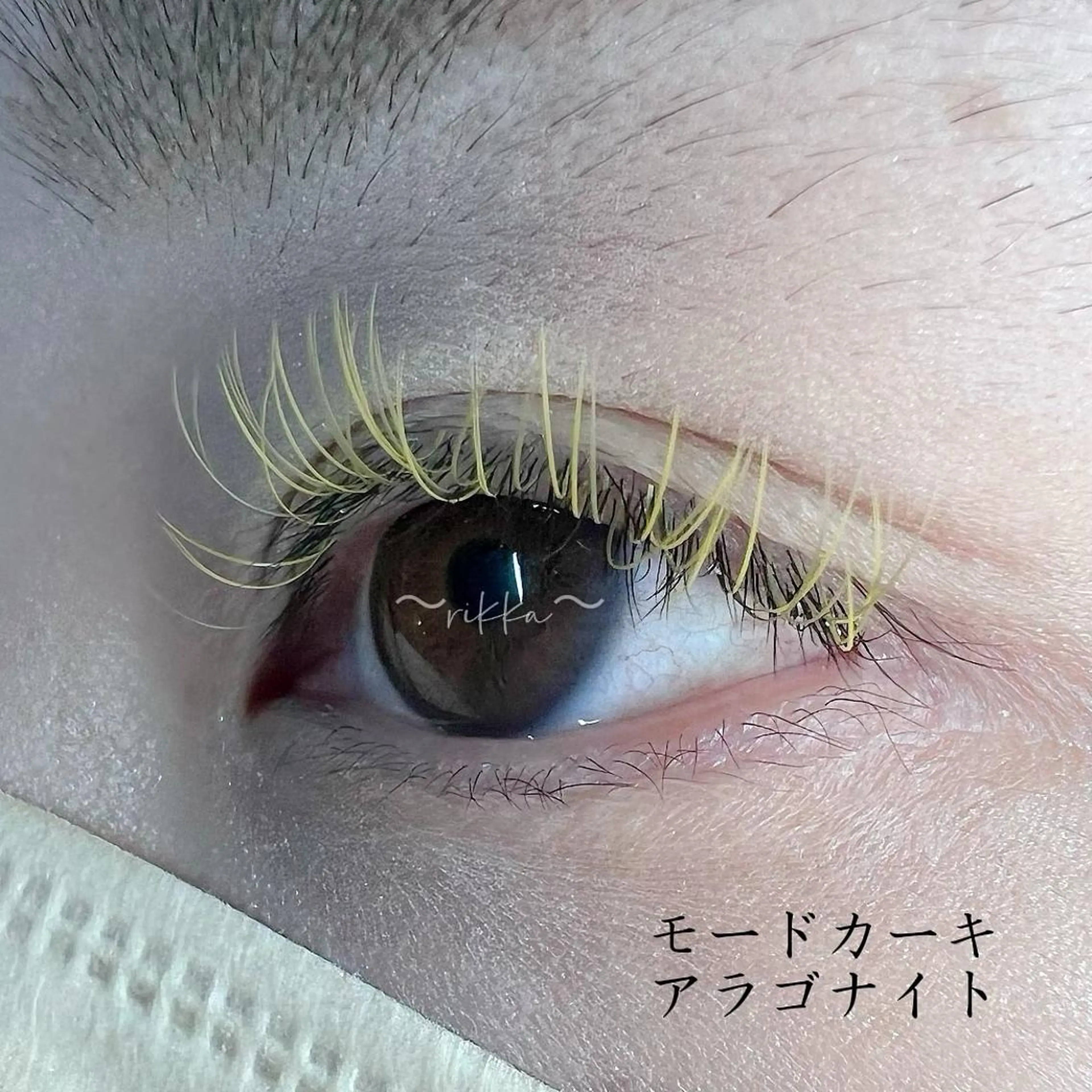 マツエク・マツパ Cカール カラーマツエク フラットラッシュ 六花〜rikka〜所属・六花 〜rikka〜のマツエク・マツパデザイン