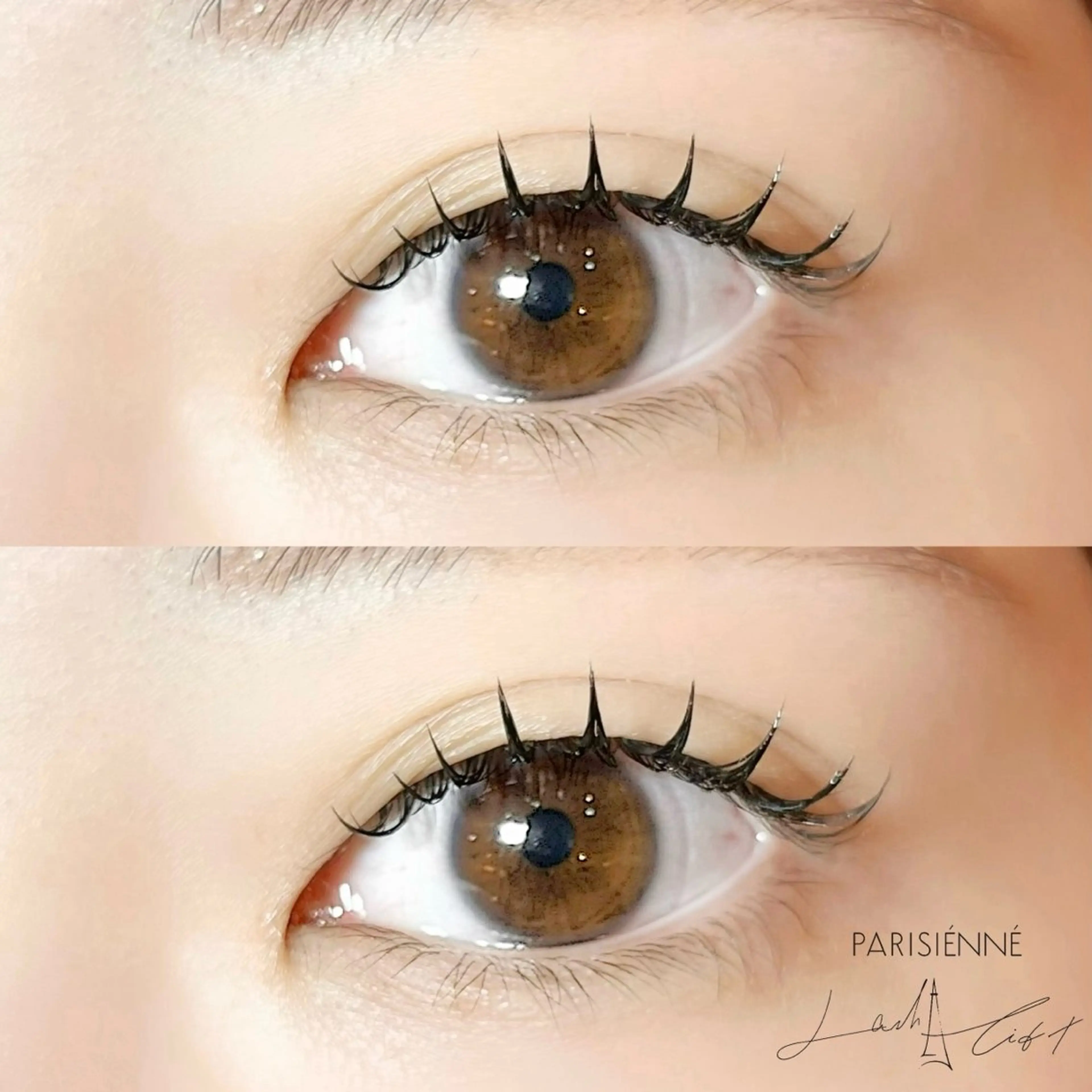 ãããšã¯ã»ããã Cã«ãŒã« ããã¥ã©ã« sola: neoliveçç°ã®ãããšã¯ã»ããããã¶ã€ã³