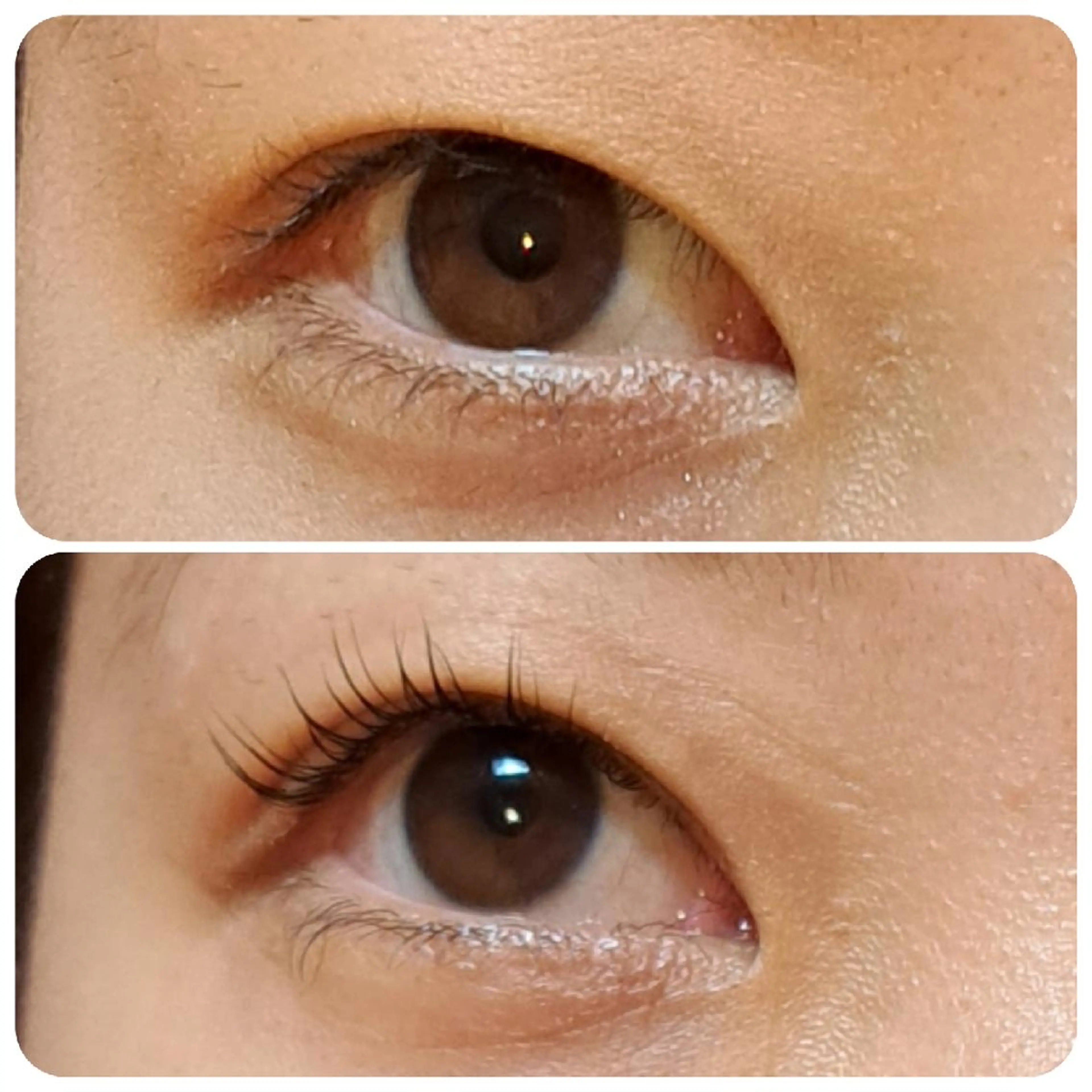 マツエク・マツパ 一重×まつ毛パーマ トータルビューティー  バルフィット所属・冨永 小絵のマツエク・マツパデザイン