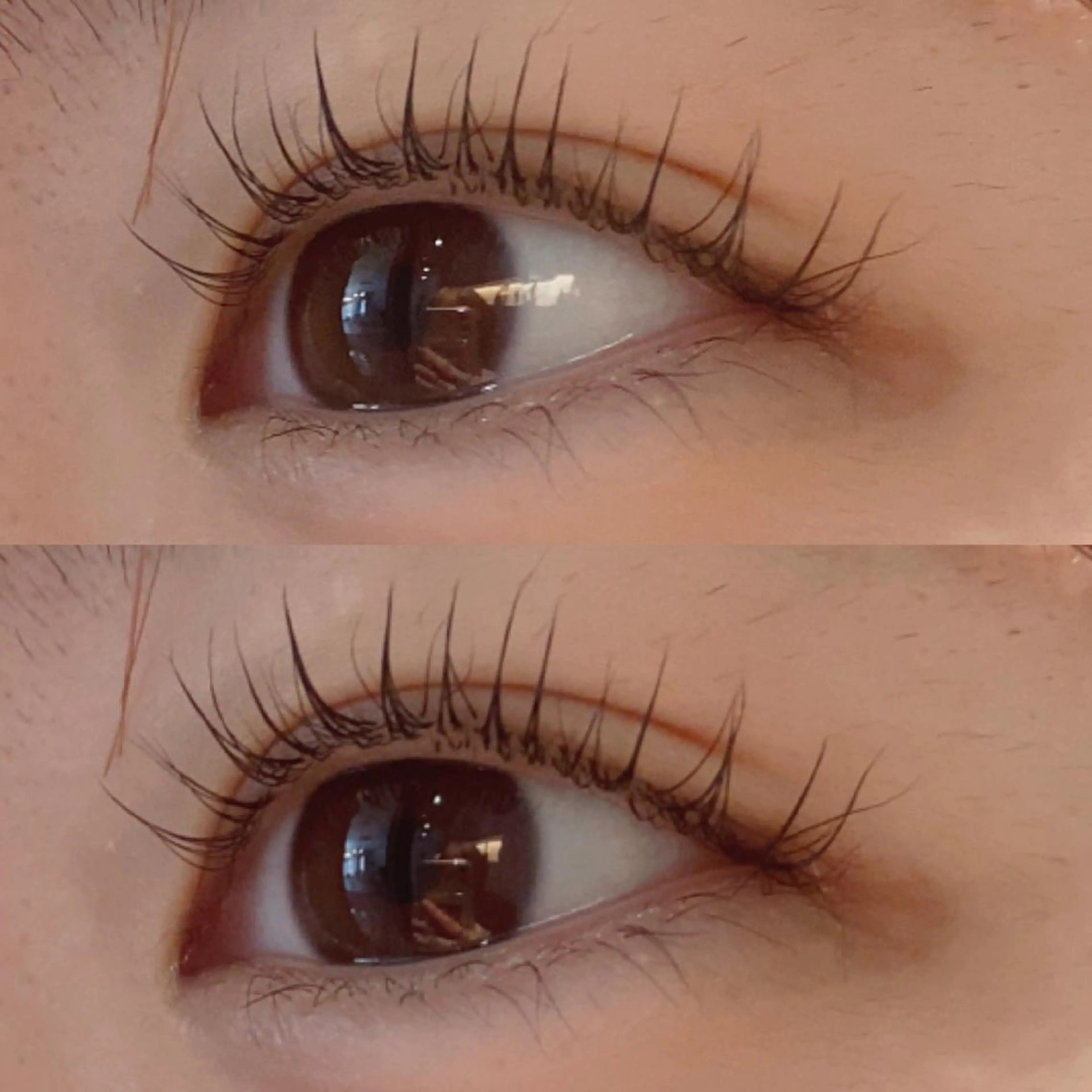 ラッシュリフト可能⭐️まつげパーマの写真