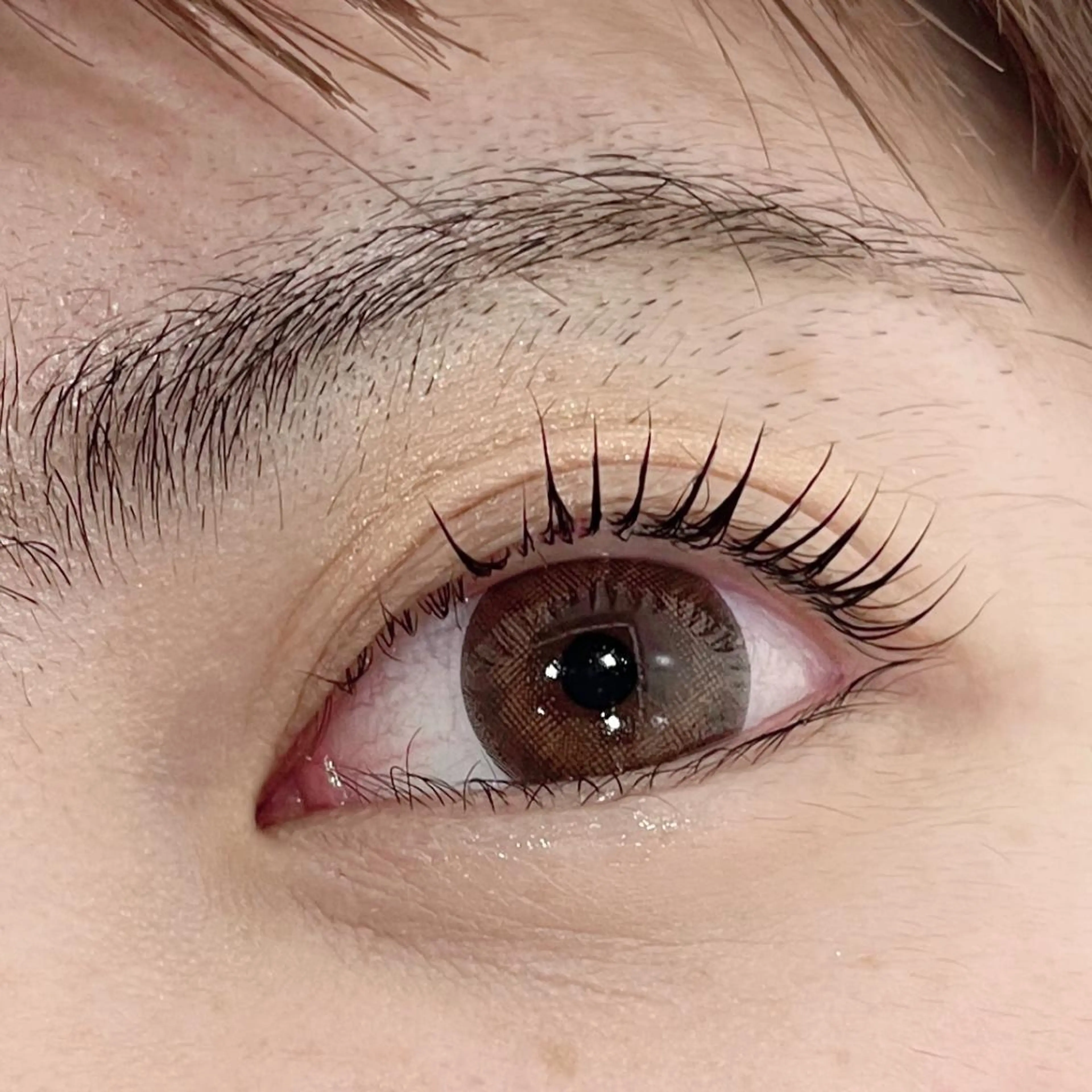 マツエク・マツパ equal静岡店🫧 まつげパーマ/眉毛のマツエク・マツパデザイン