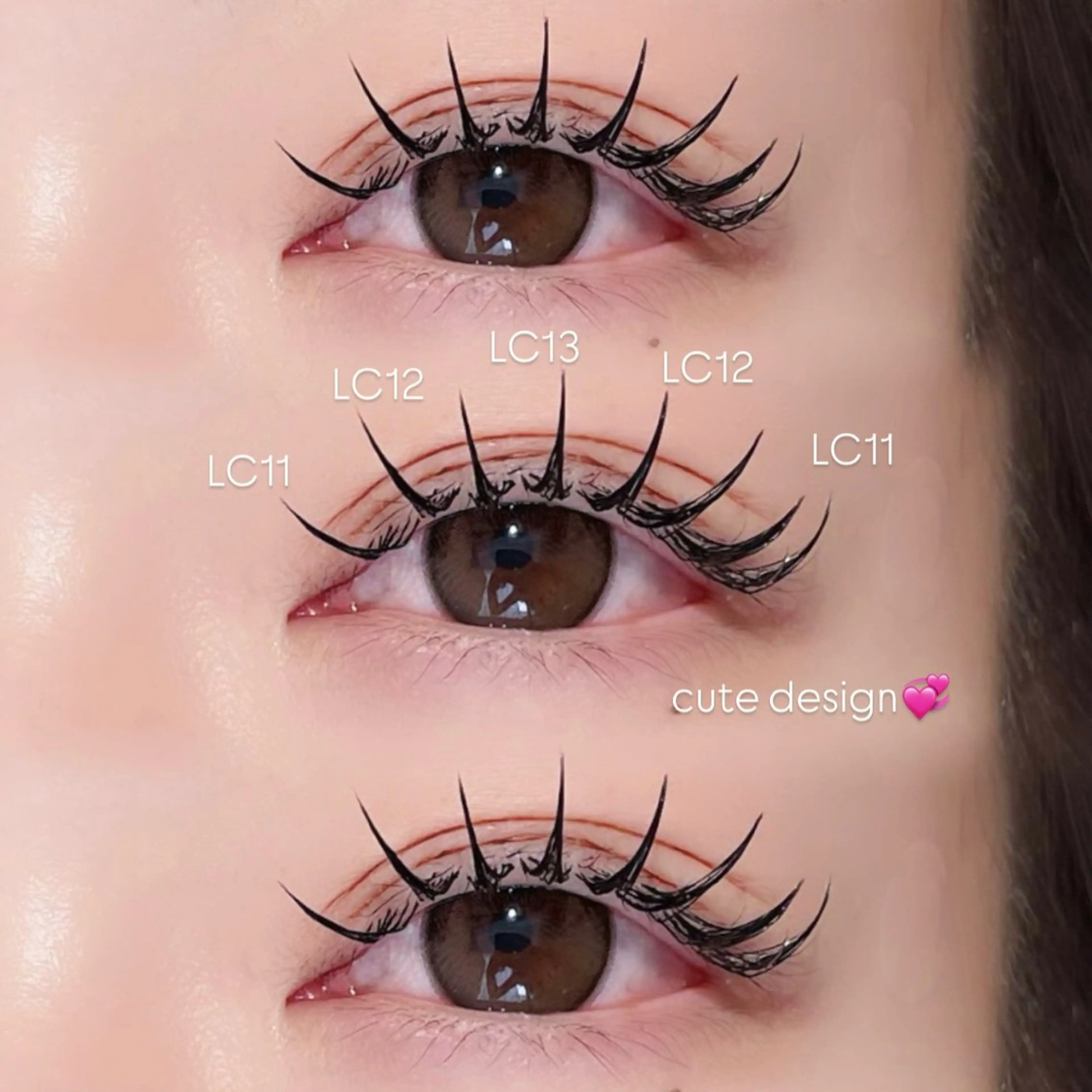 【本日限定】Lカール バイントロック 60束の写真