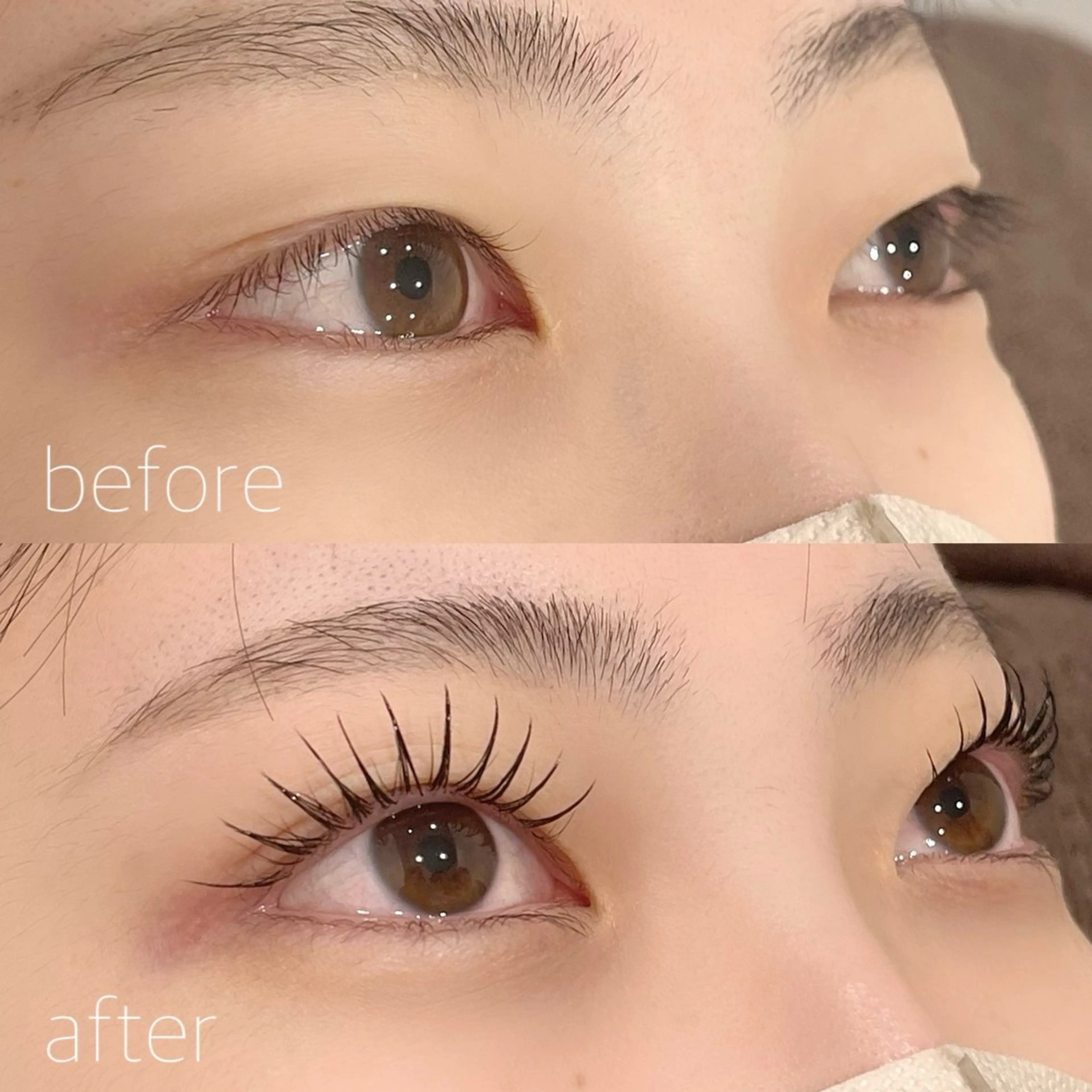 マツエク・マツパ フラットラッシュ 一重×まつ毛パーマ ボリュームラッシュ EYE405 fukuyamaのマツエク・マツパデザイン