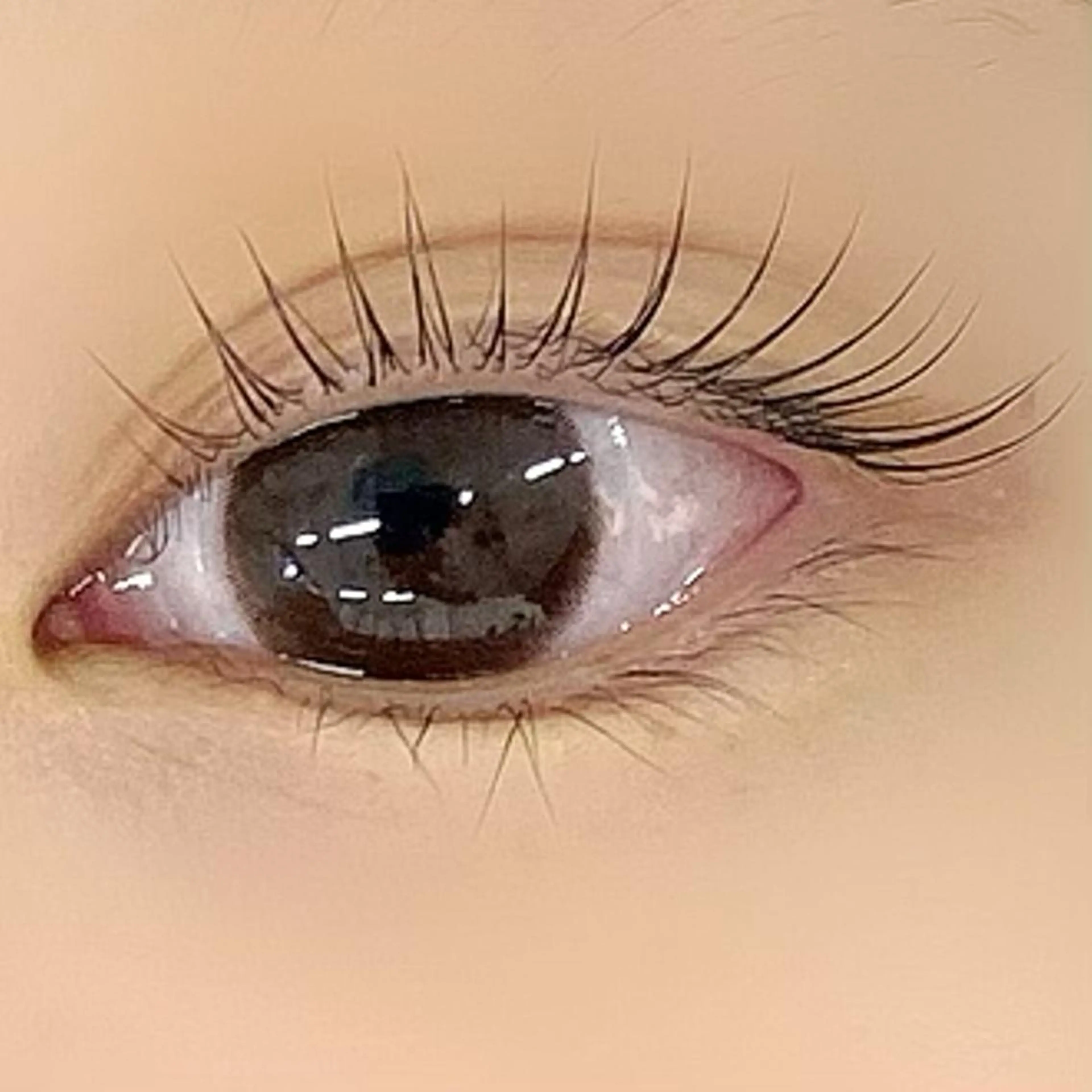 🩵‪ご新規様限定🩵‪ 【垂れ目風まつげパーマ】メーテルラッシュリフト¥ 2980 オフ別の写真