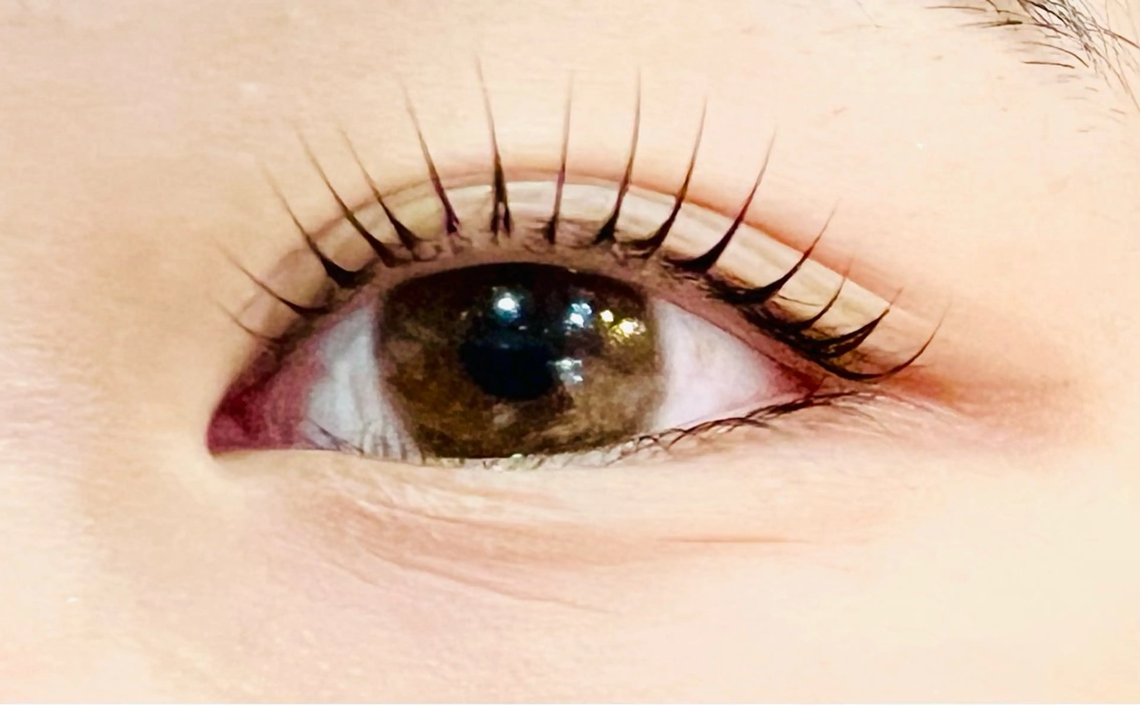 期間限定☆パリジェンヌラッシュリフト(上のみ)の写真