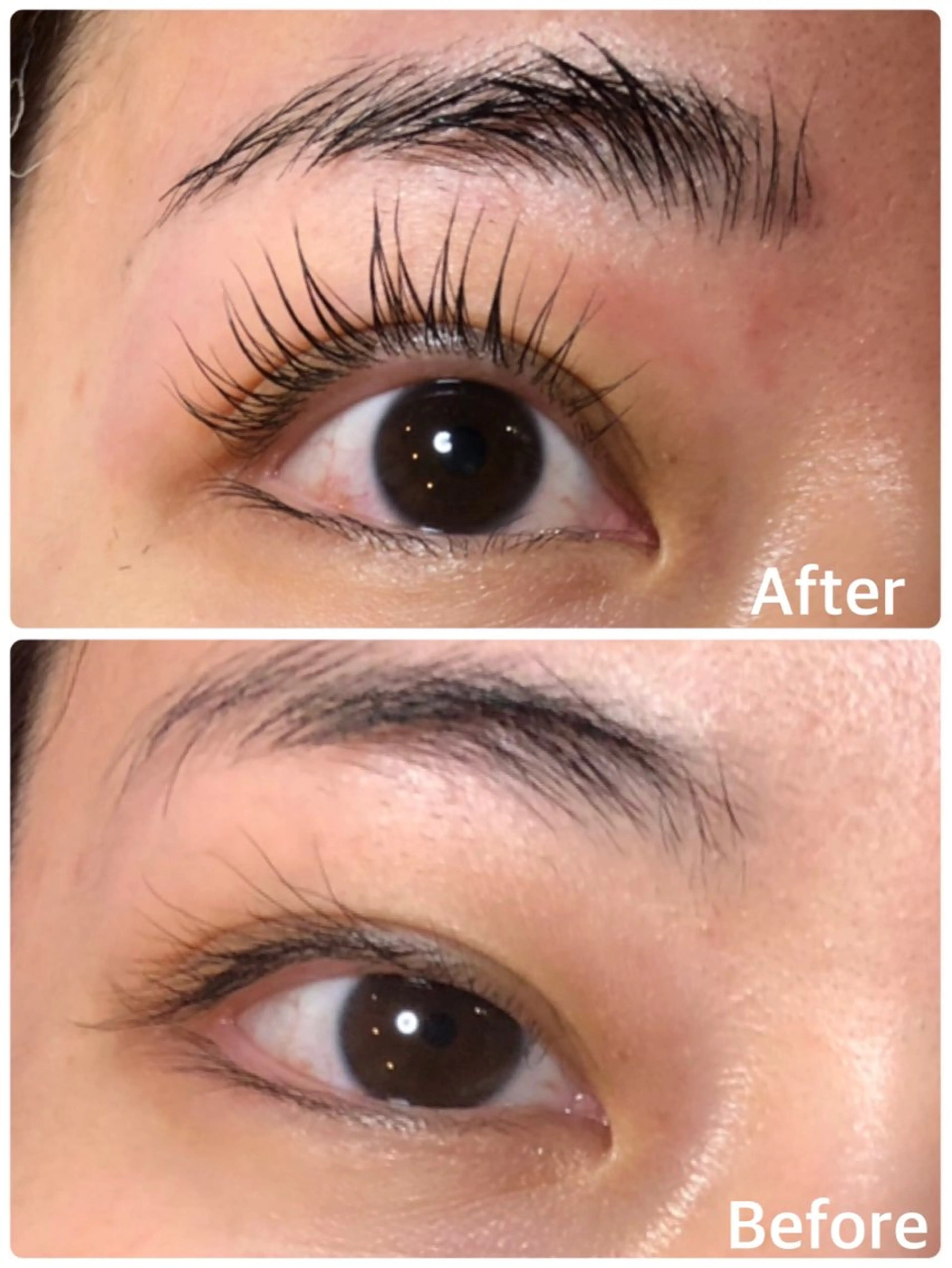 ミニモ学割u24、アイラッシュリフト（まつ毛カールトリートメント仕上げ✨）メンズ👍ご一緒の場合はお知らせくださいの写真