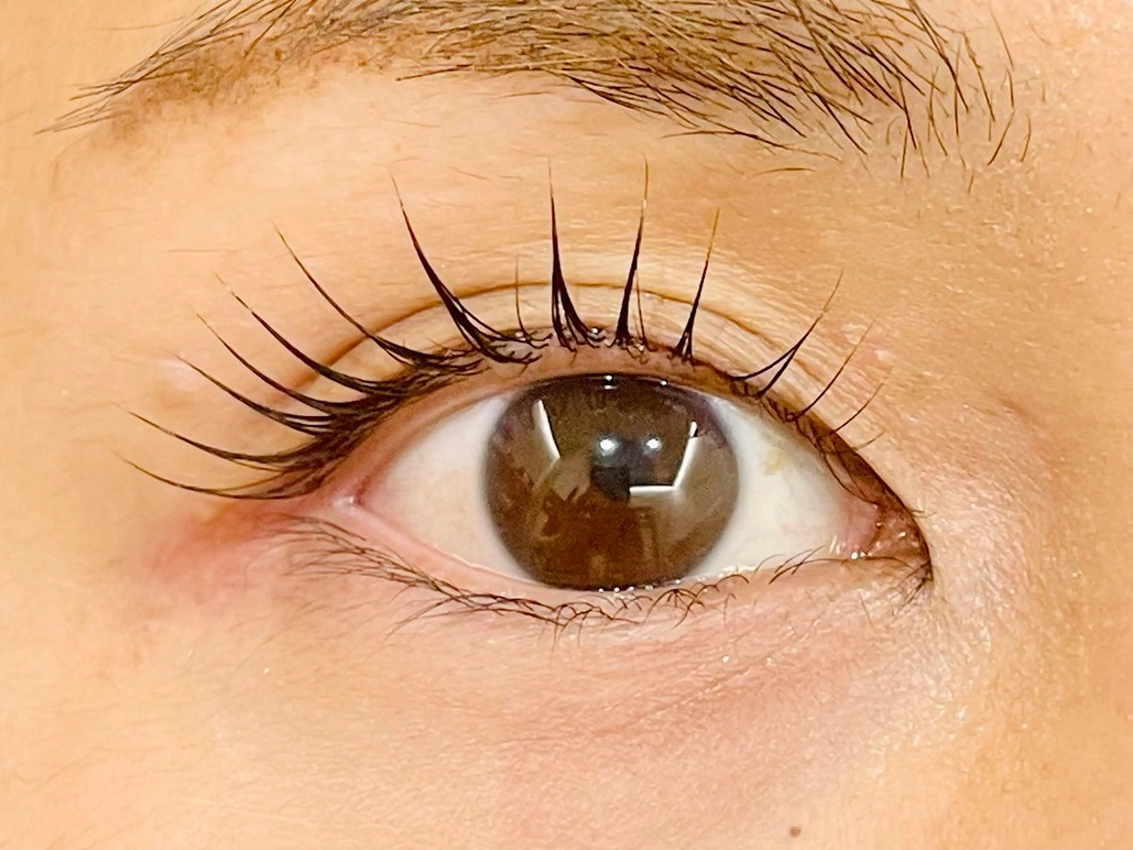 マツエク・マツパ マツパ 中村彩香 (エフドゥ)のマツエク・マツパデザイン