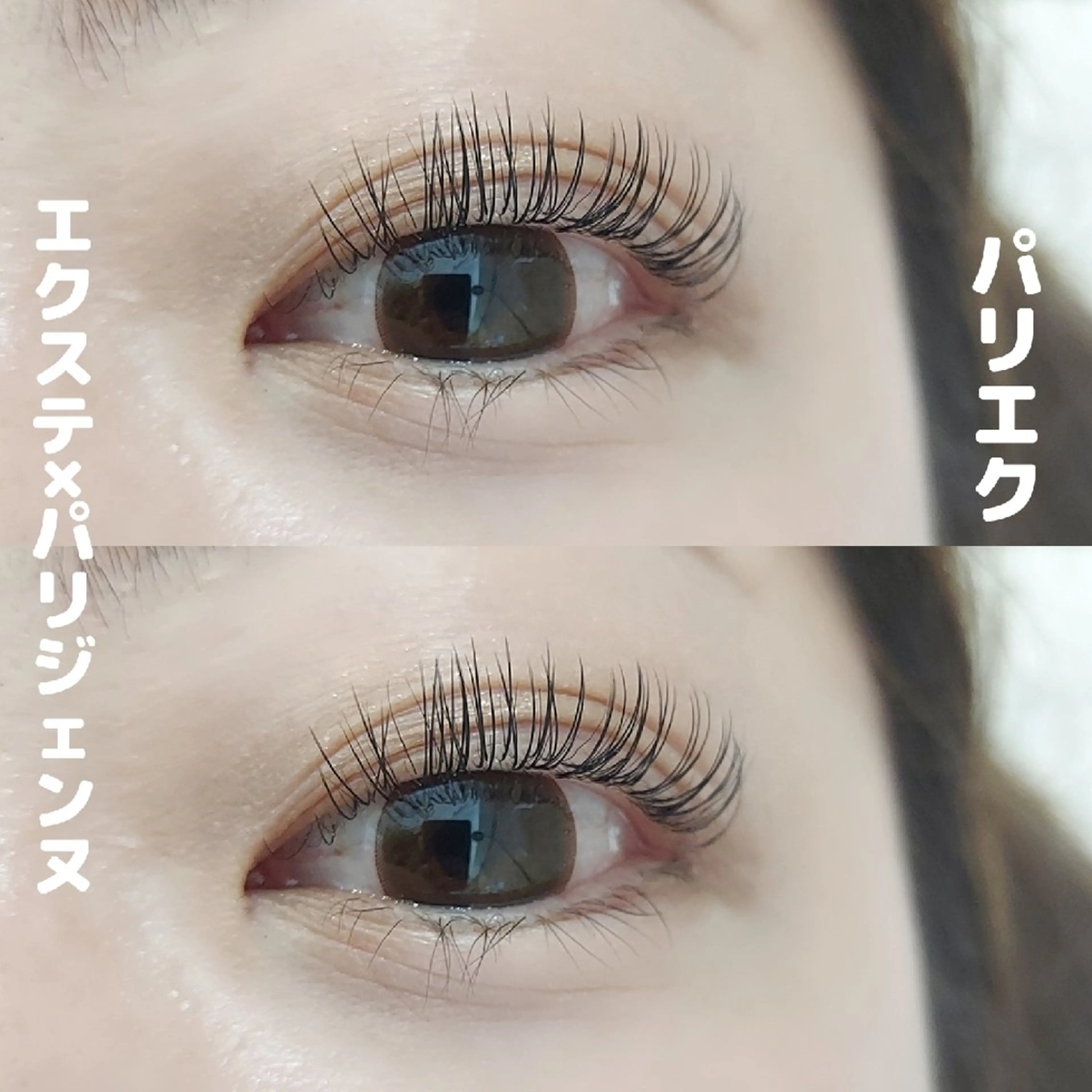 マツエク・マツパ パリジェンヌラッシュリフト Eyelash Tiamのマツエク・マツパデザイン