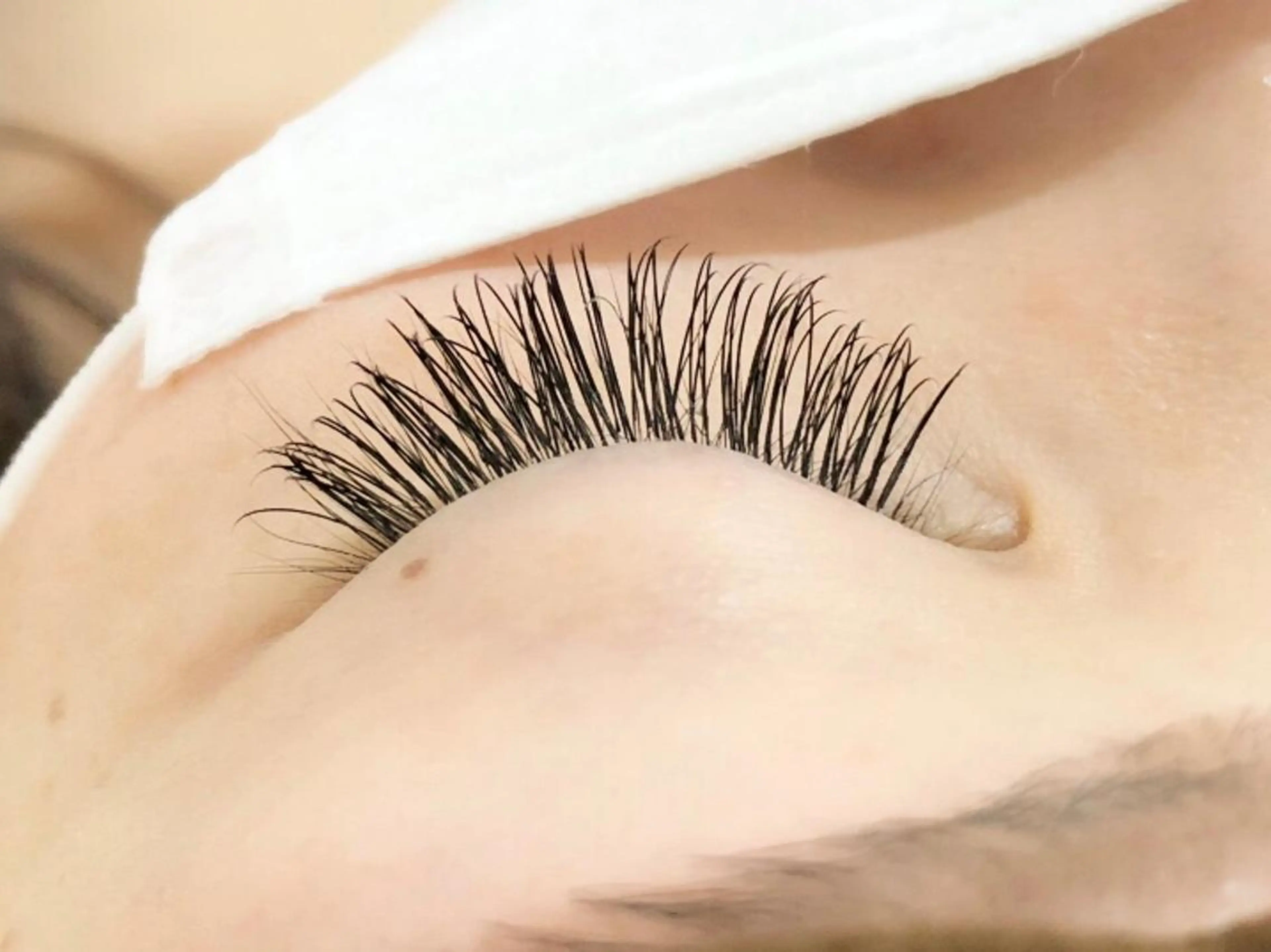 【新規】まつげエクステ 160本❤️フラットラッシュの写真