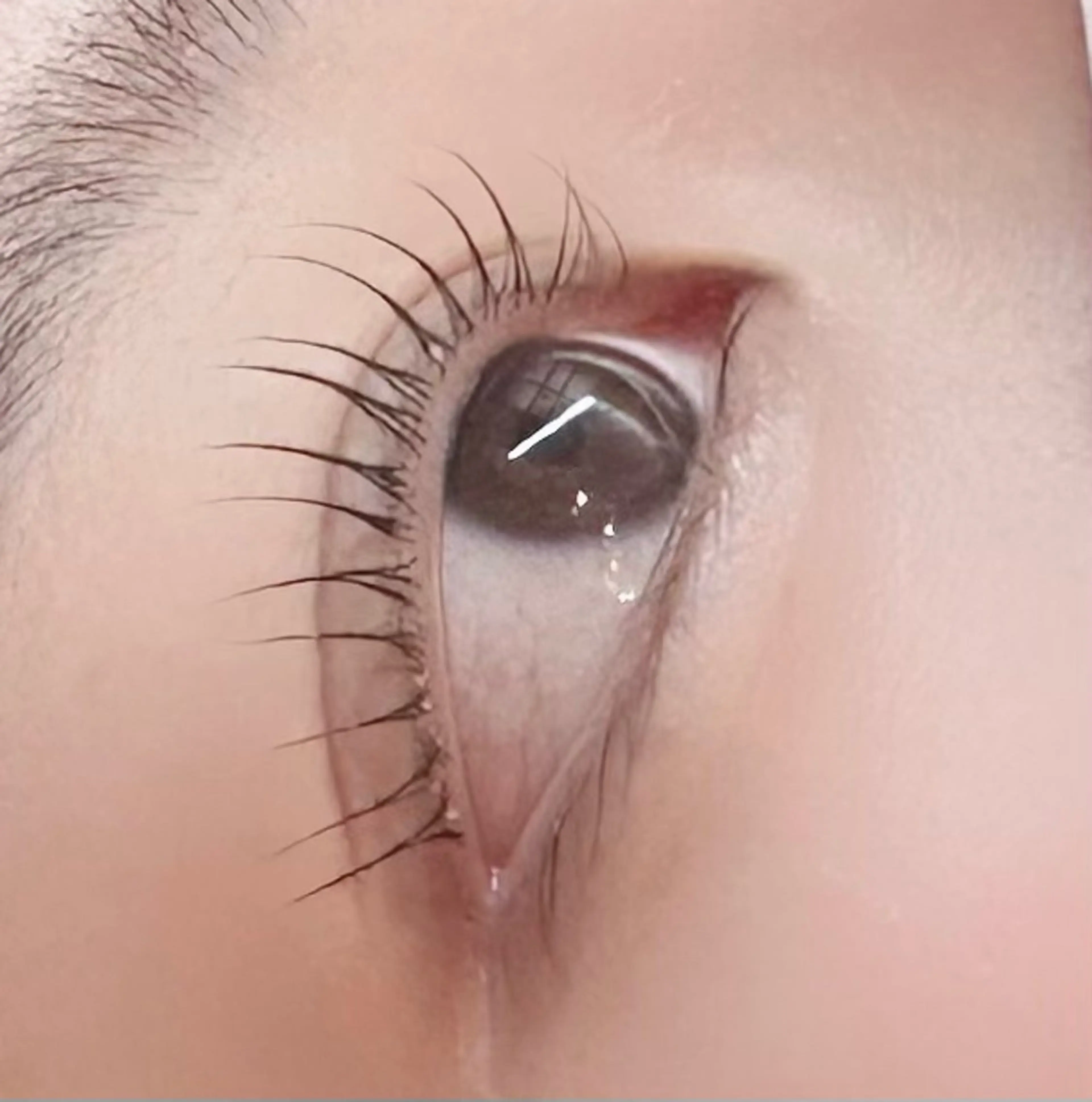 マツエク・マツパ SALON SUZのマツエク・マツパデザイン