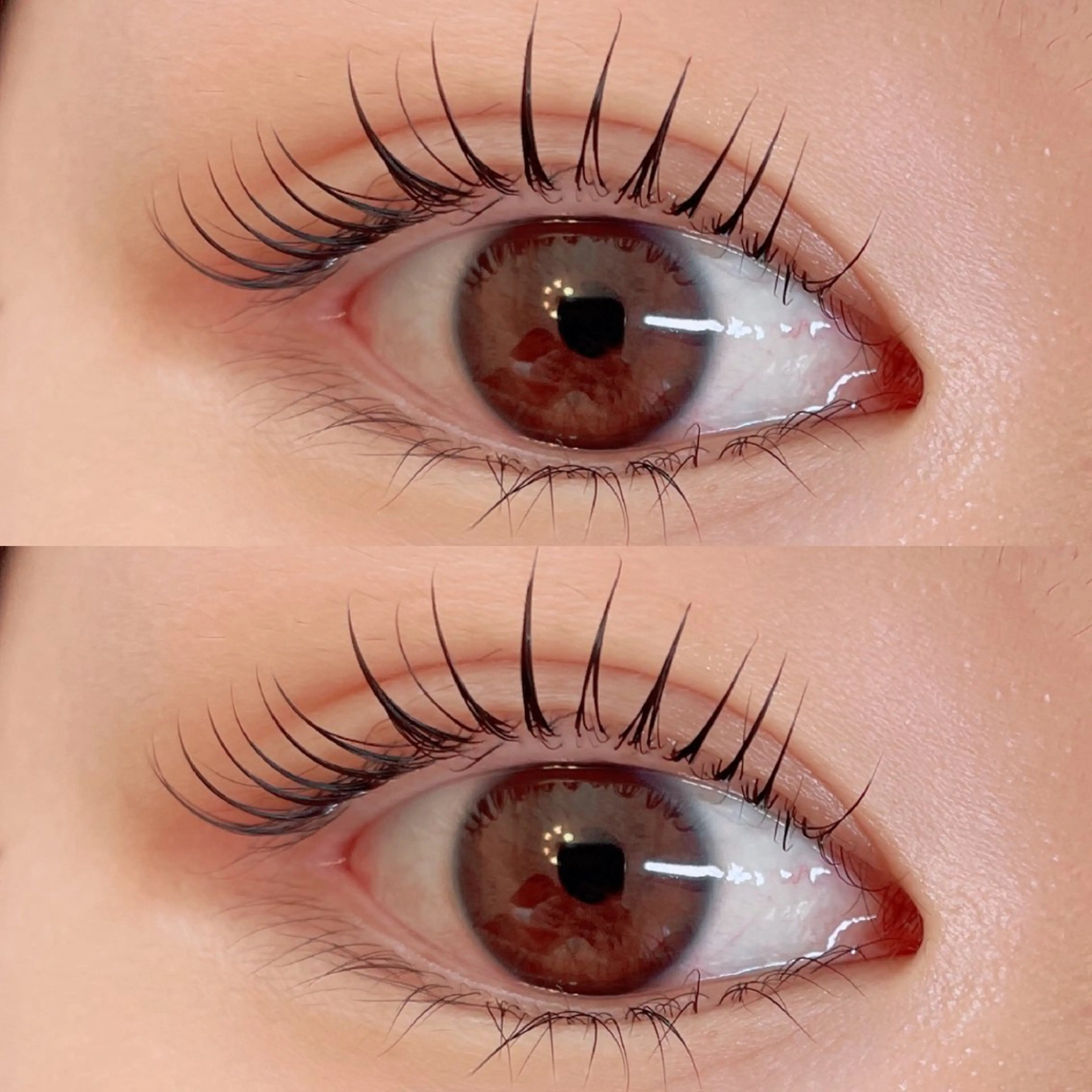 【学割🤎】上まつ毛パーマ✨イベント前のお手入れにの写真