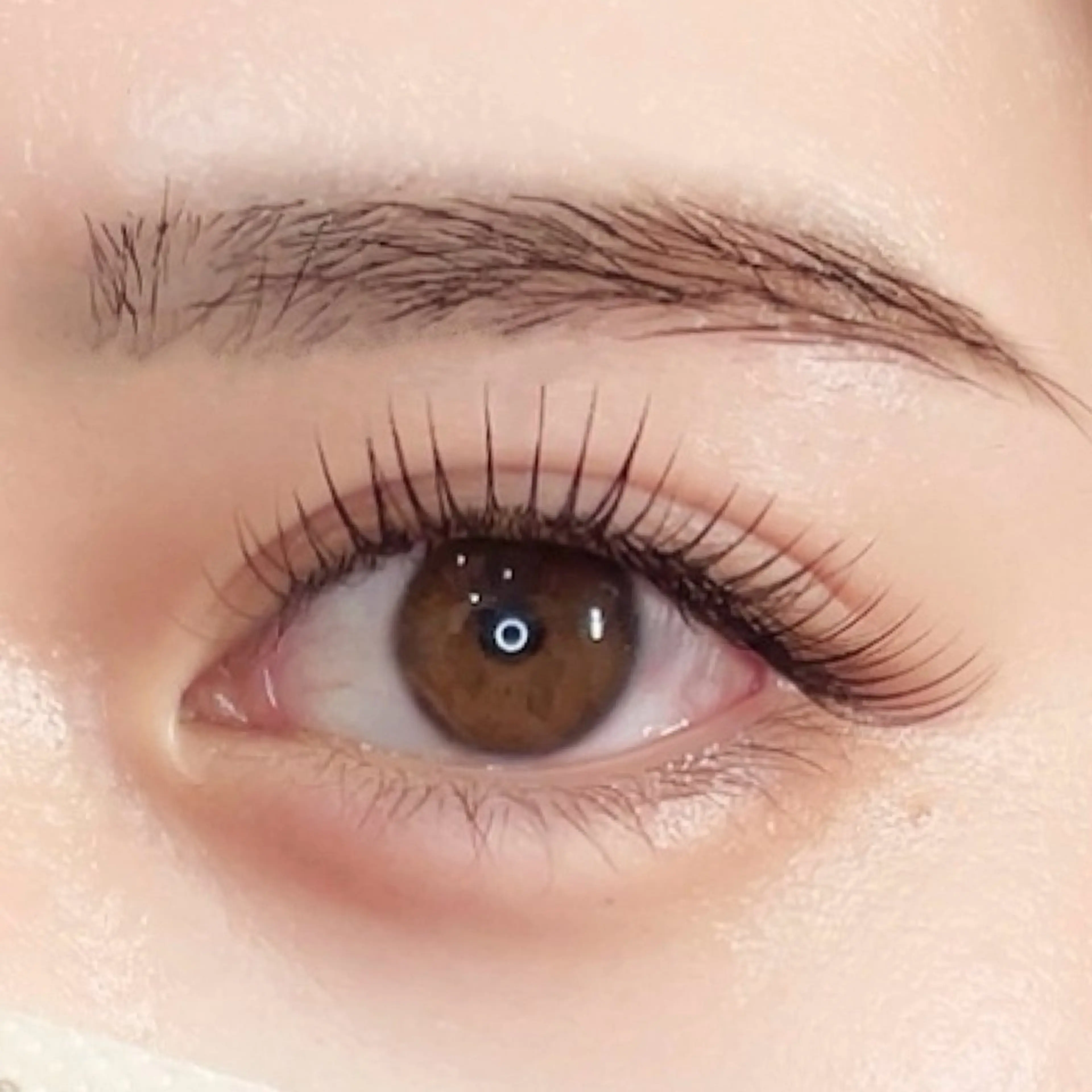 人気𝐍𝐨.𝟏デザインキープラッシュ🦋₊⁺ 120束(フラットラッシュ140本程のﾎﾞﾘｭｰﾑ)他店オフ込みの写真