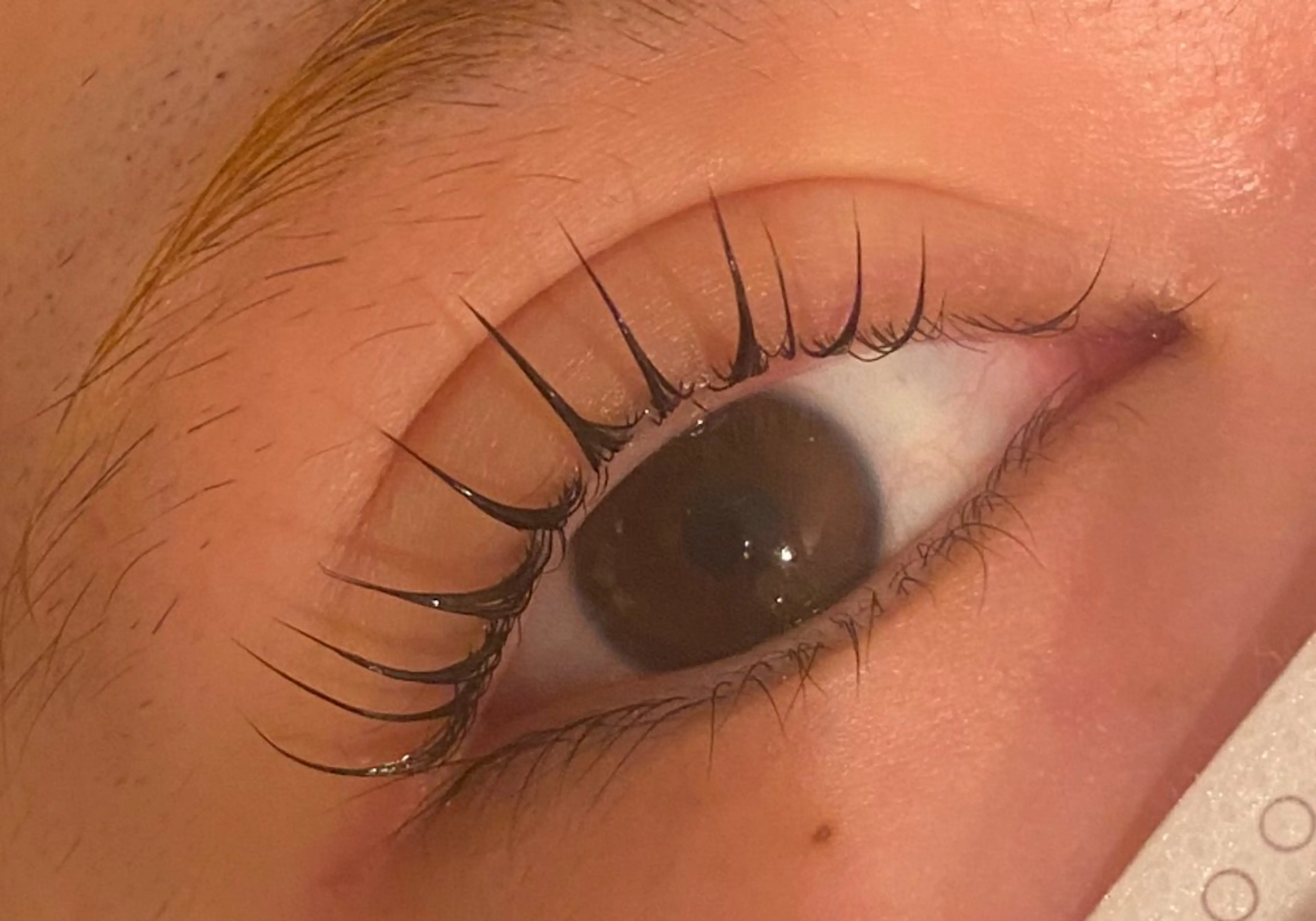 マツエク・マツパ 束感まつ毛 韓国風マツエク マツパ Jessica 清水🎀✨のエステ・リラクイメージ