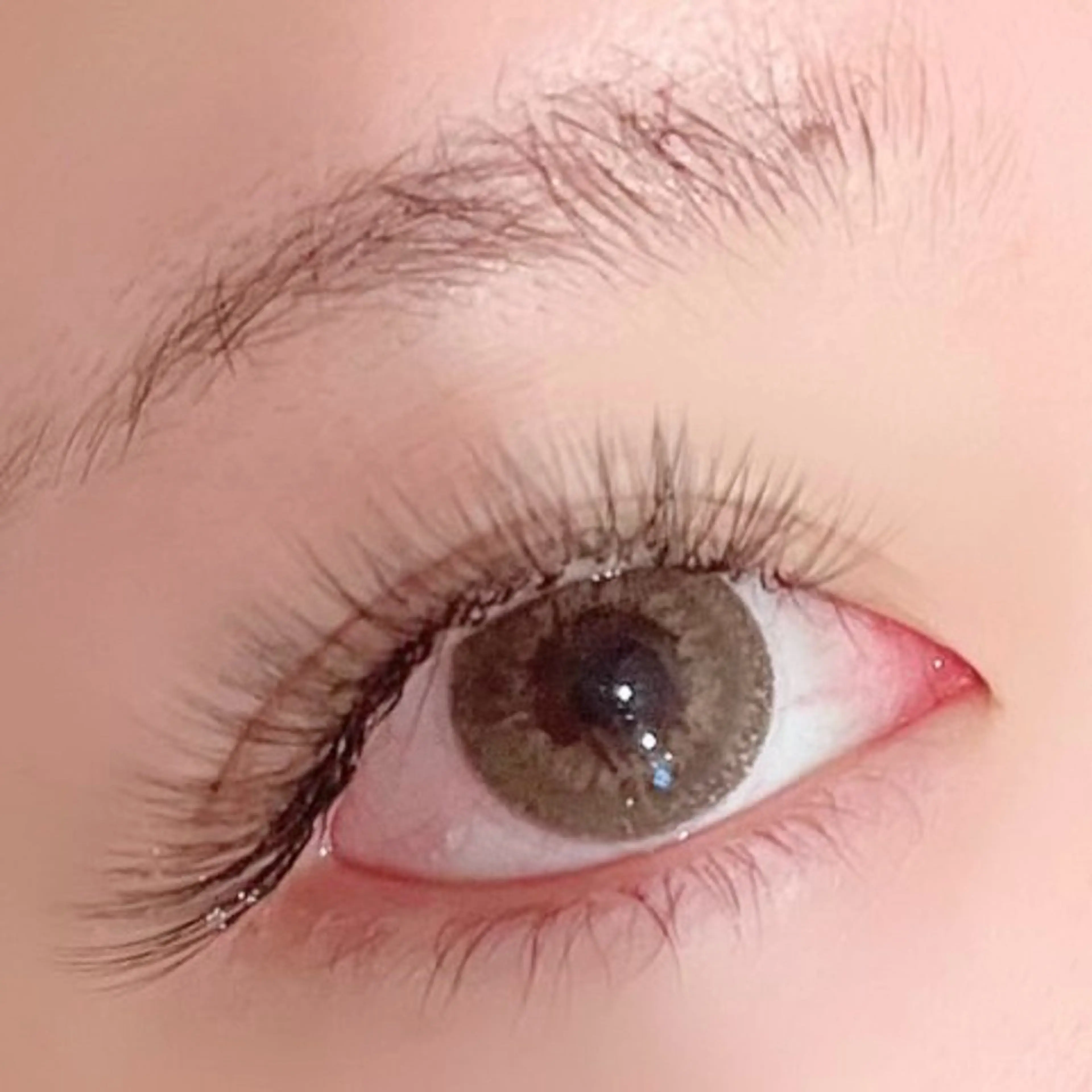 新規限定【ボリュームドールラッシュ 100束（500本以上）/¥5100】の写真