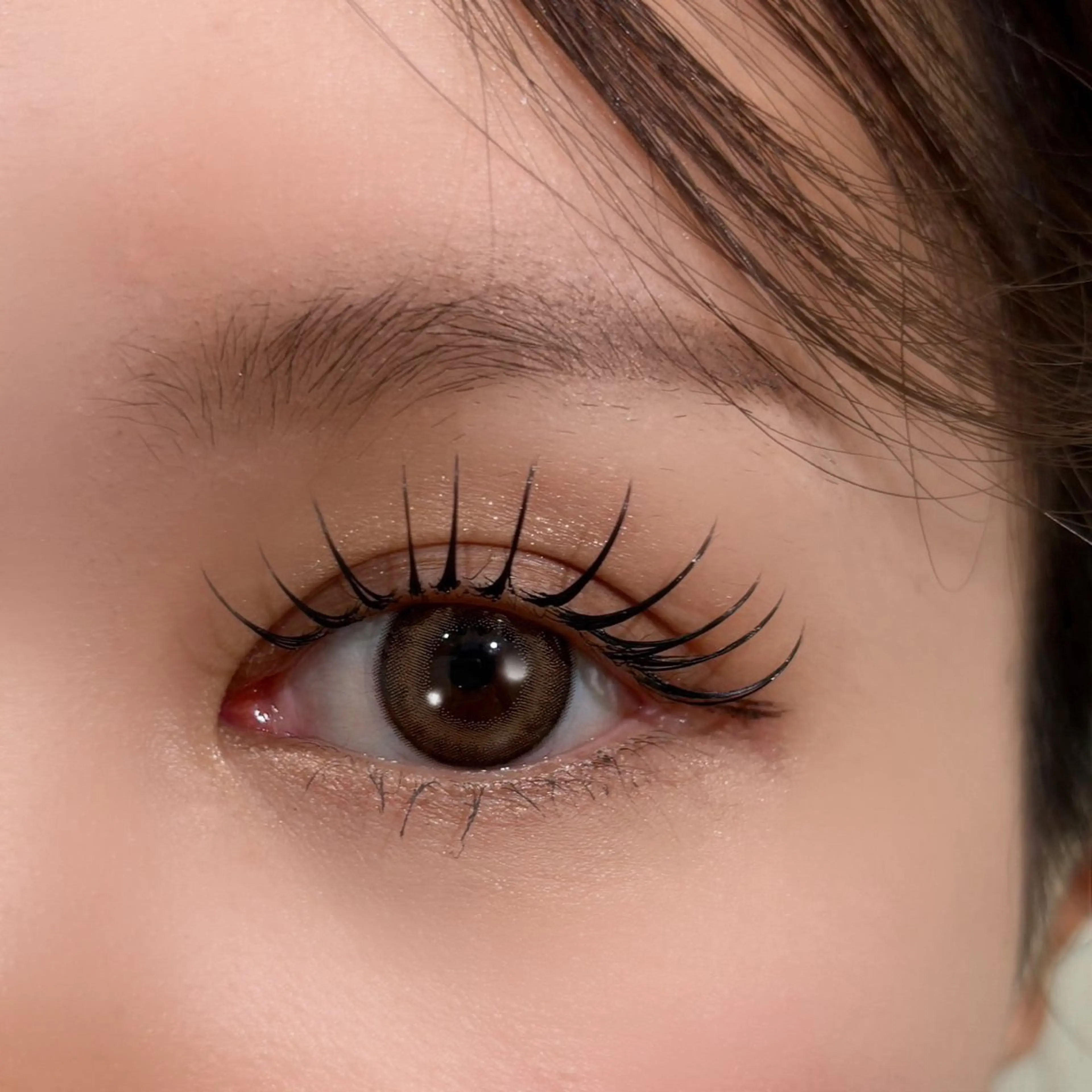 当日限定クーポン🌼の写真