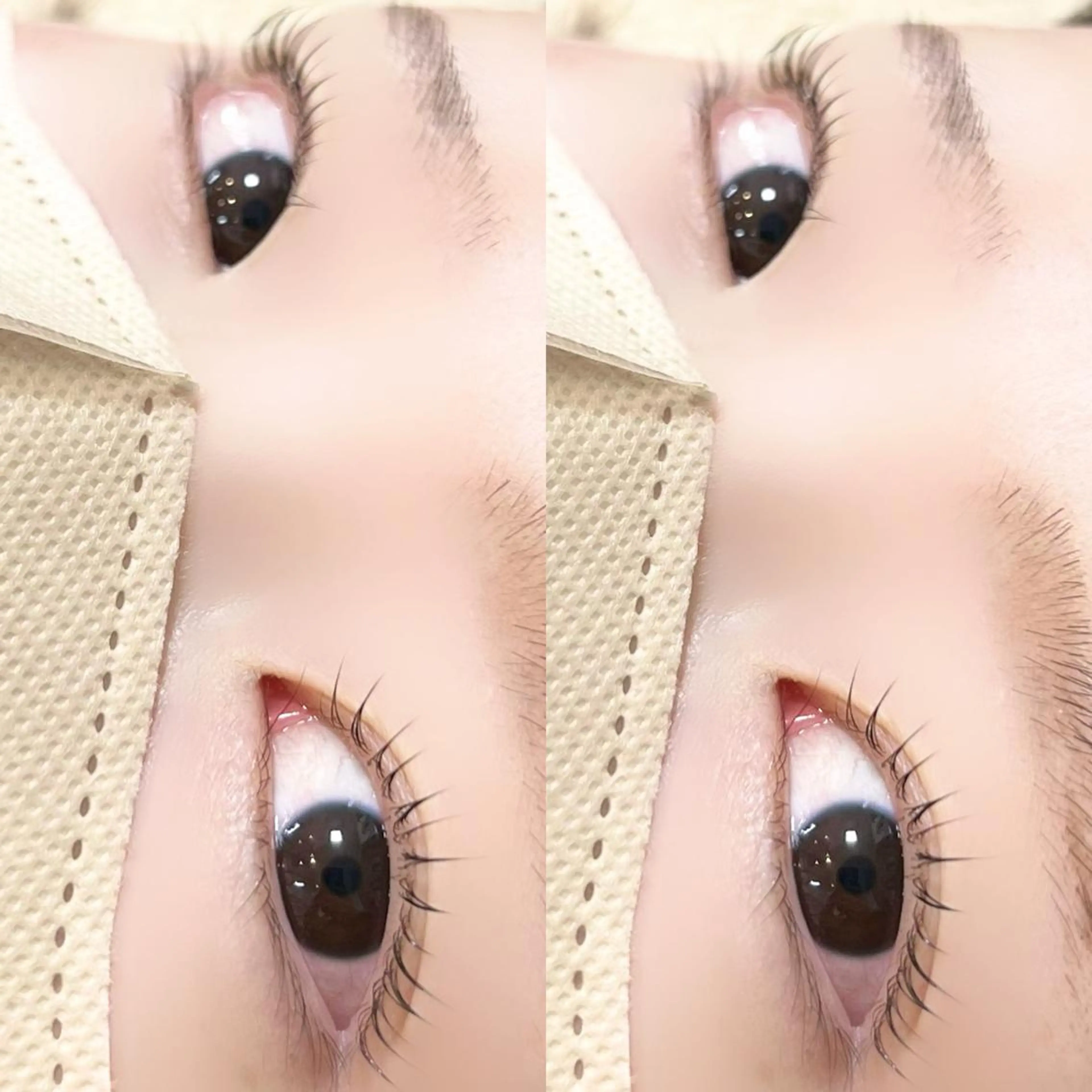 マツエク・マツパ パリジェンヌラッシュリフト マツパ 【myonsil】 Suzuki*のマツエク・マツパデザイン