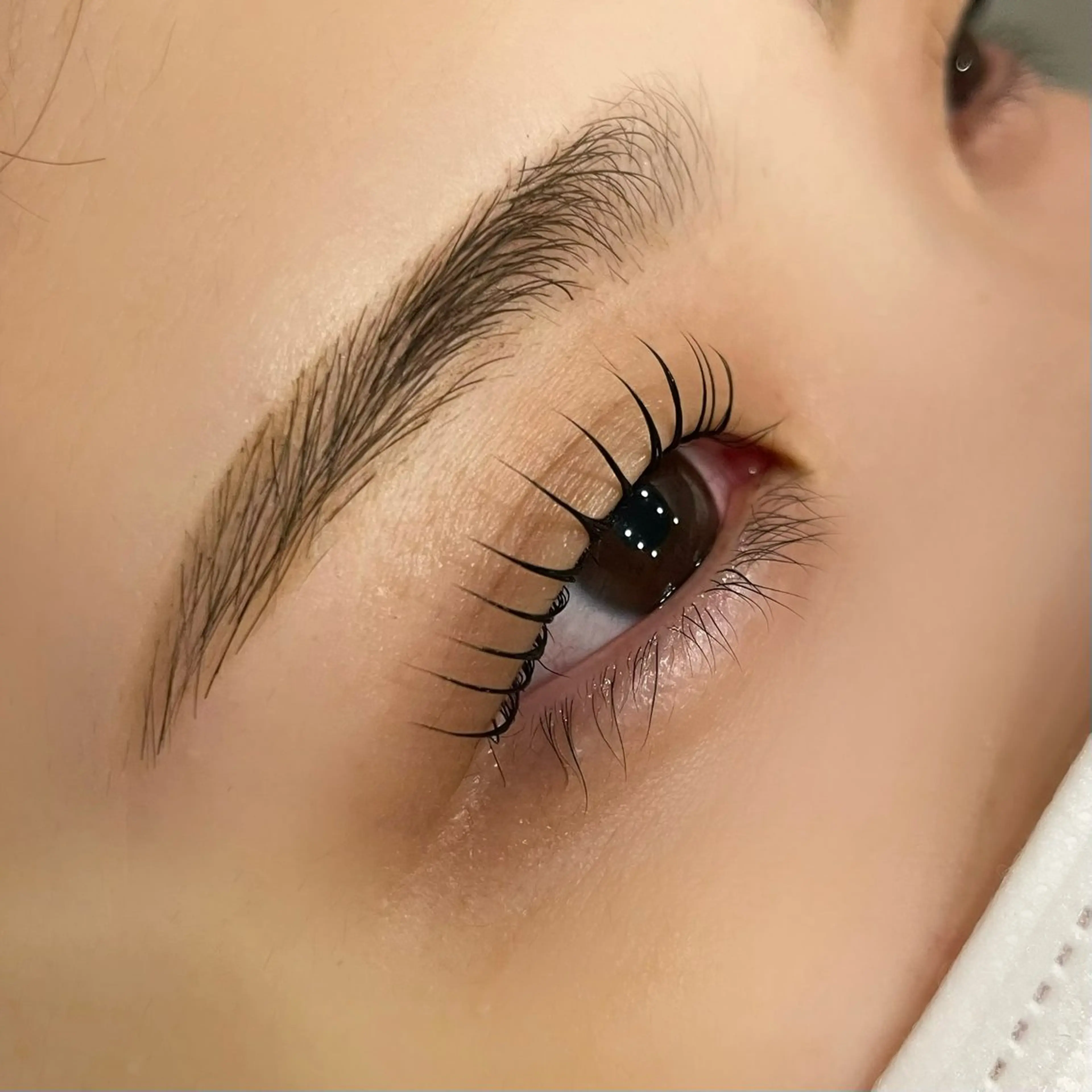 アイブロウ ワックス脱毛 眉カット その他(アイブロウ) Nae.所属・眉毛/まつ毛/代官山 アイサロン🌻NAEのマツエク・マツパデザイン