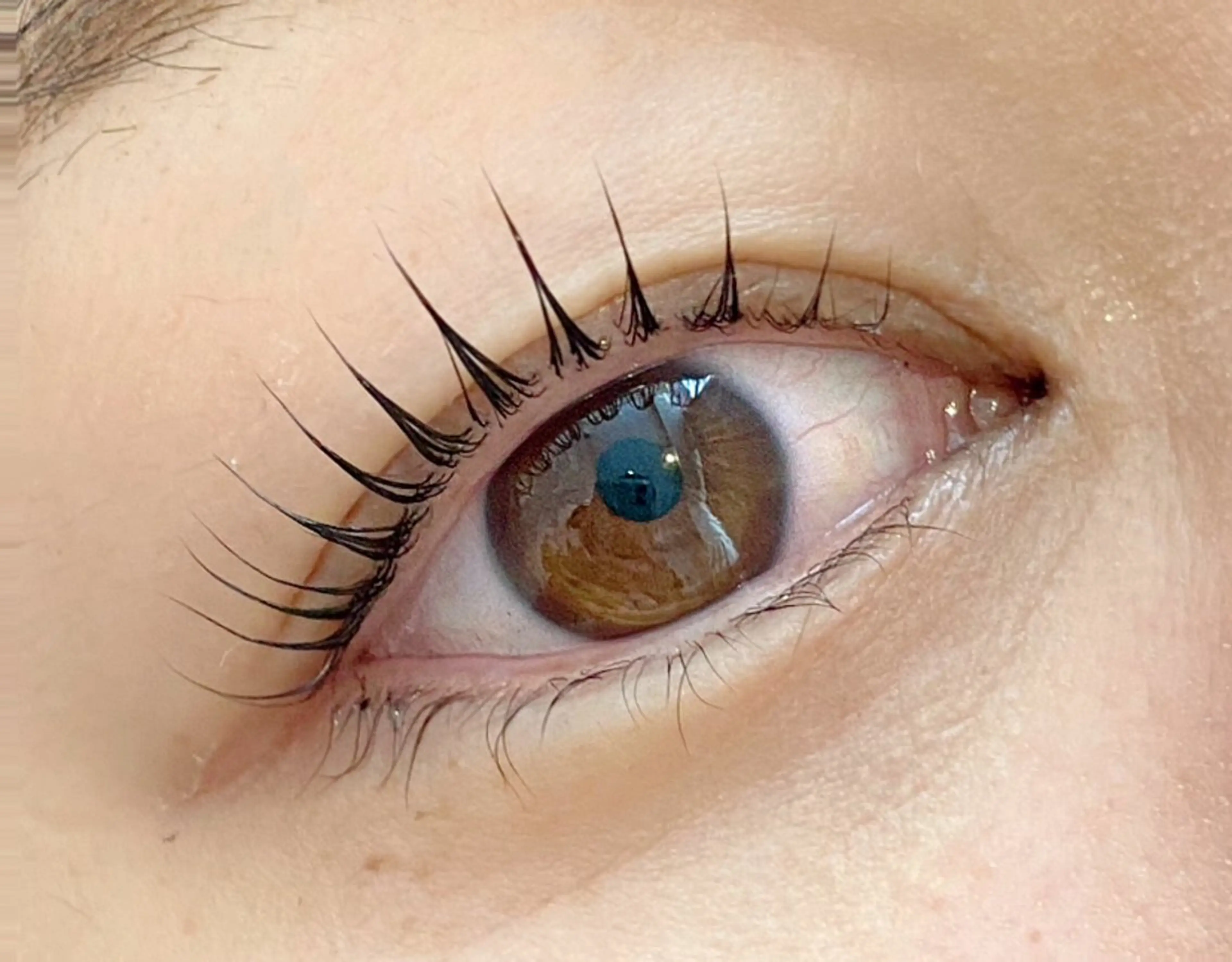 マツエク・マツパ 束感まつ毛 韓国風マツエク マツパ Jessica 清水🎀✨のエステ・リラクイメージ