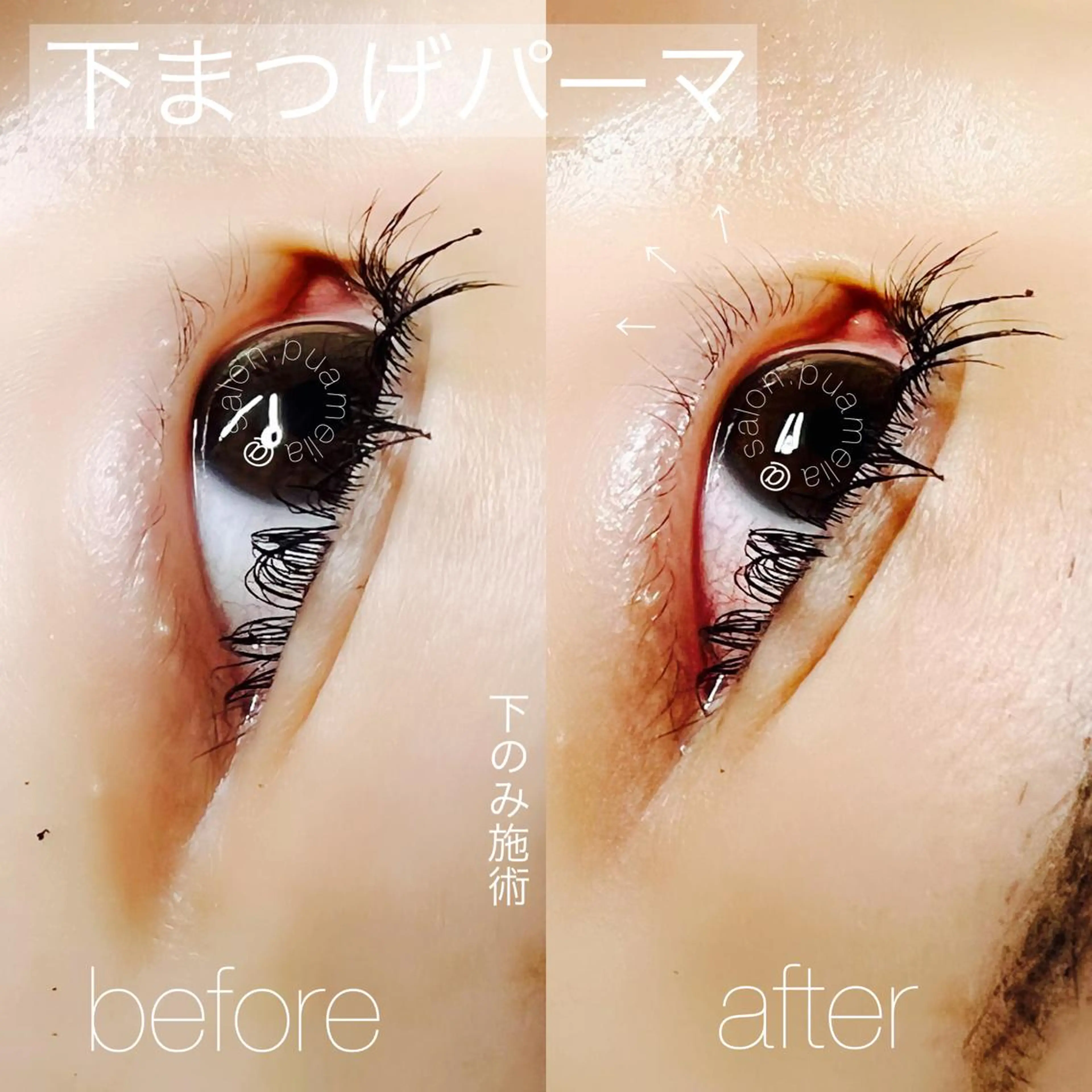 マツエク・マツパ Pua Meliaのマツエク・マツパデザイン