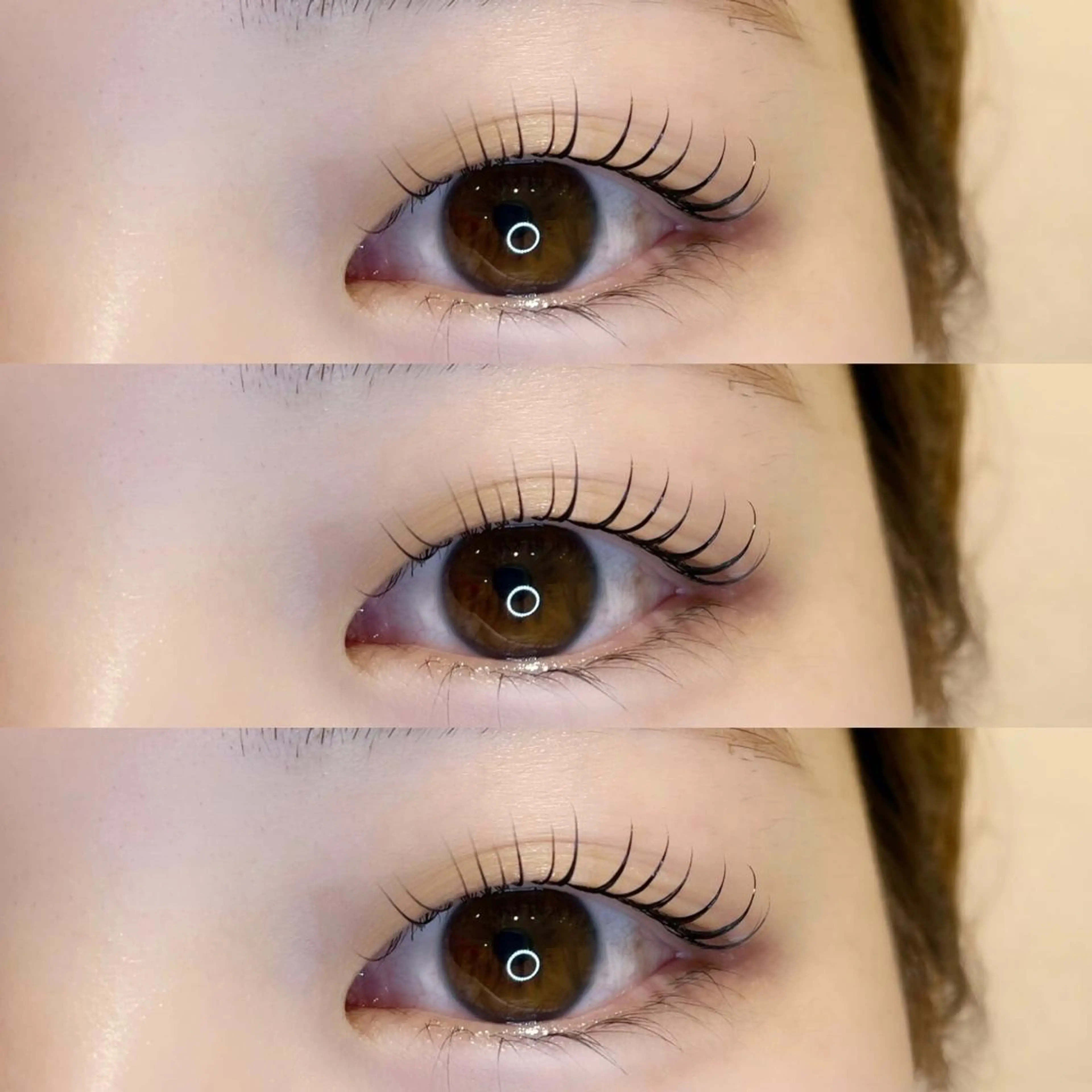 ✨パリジェンヌラッシュリフト上下✖︎アイブロウwax✨の写真