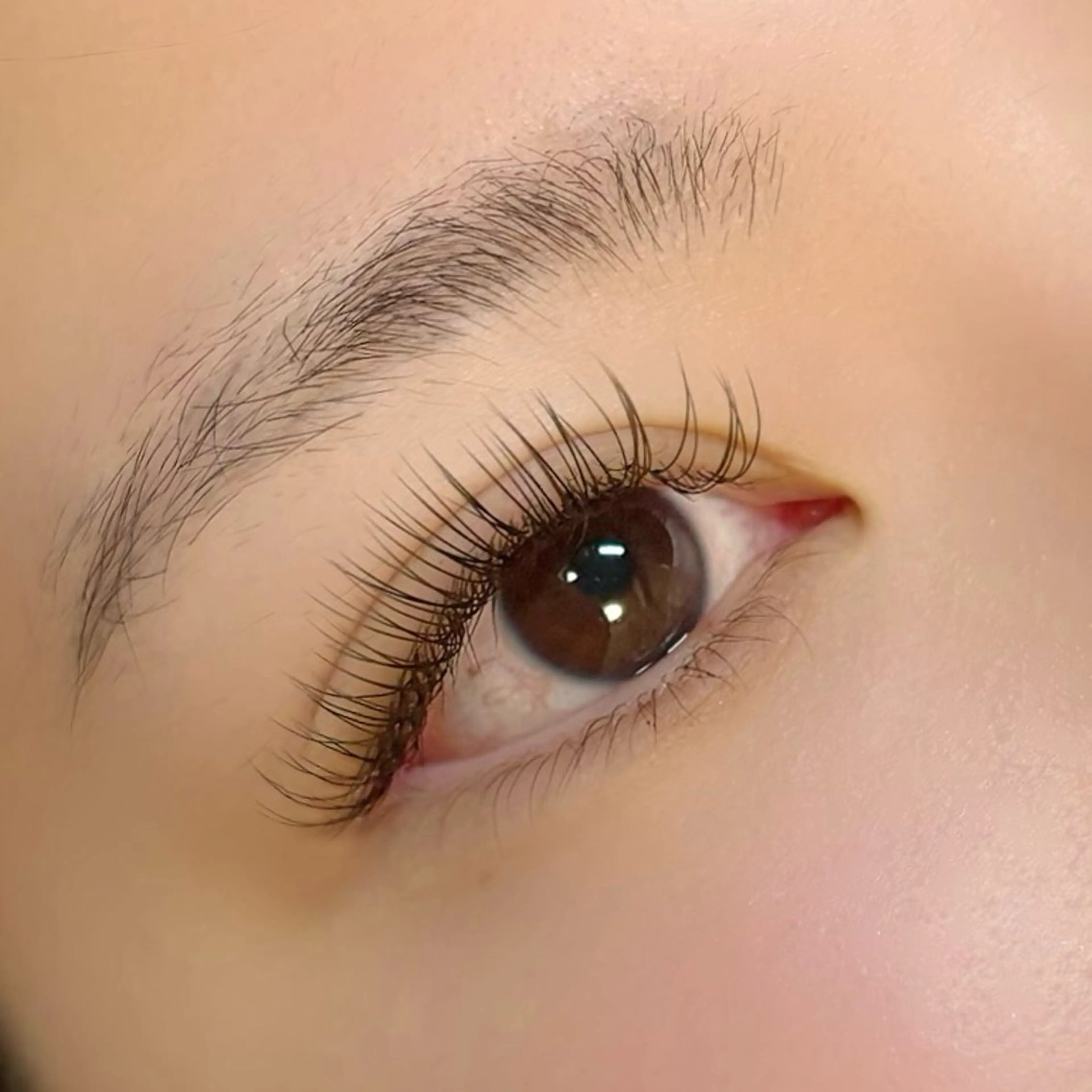 LEDエクステ120本(カラー変更可)の写真