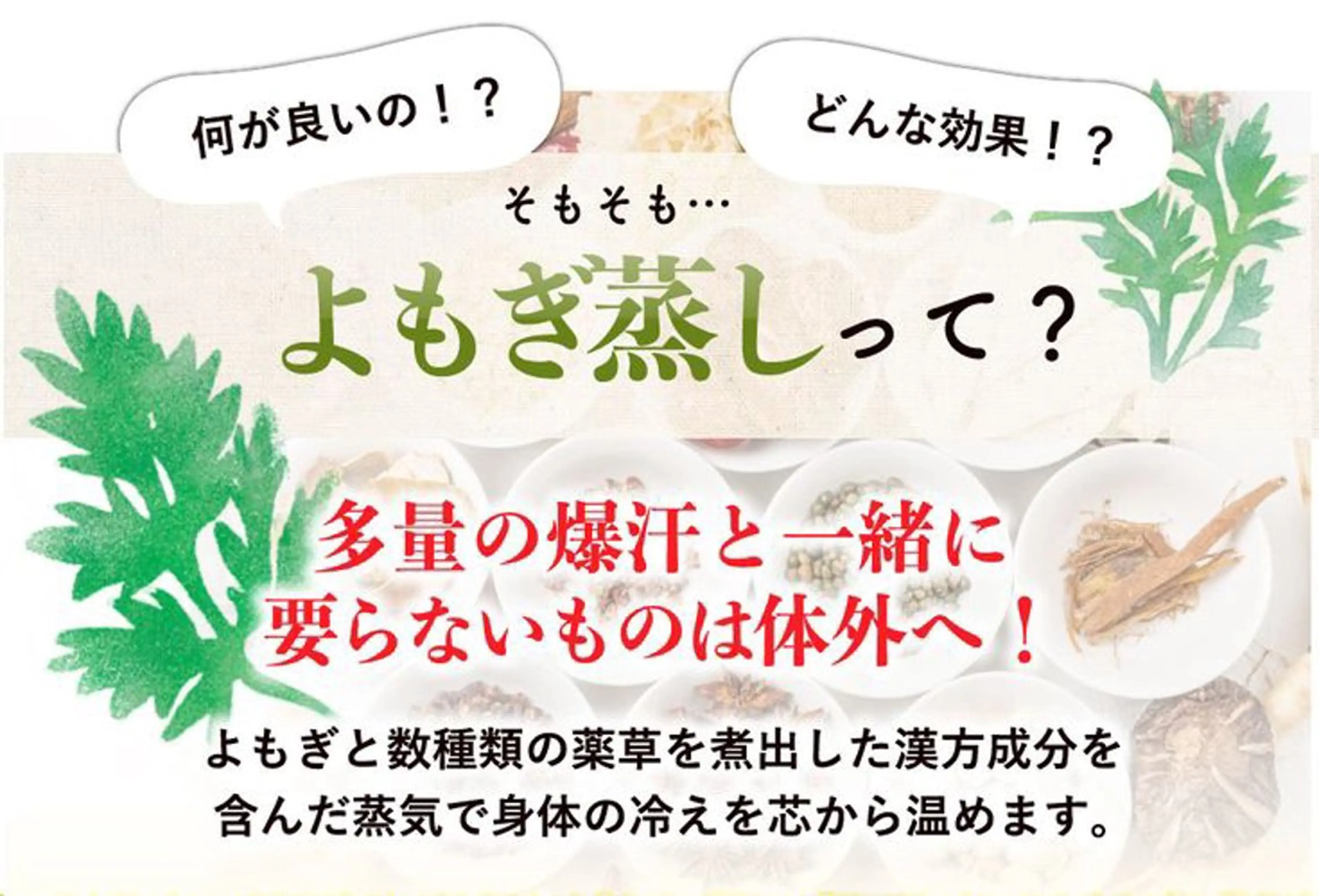 ☆超おトク！！本気のデトックス30日間フリーパス☆の写真