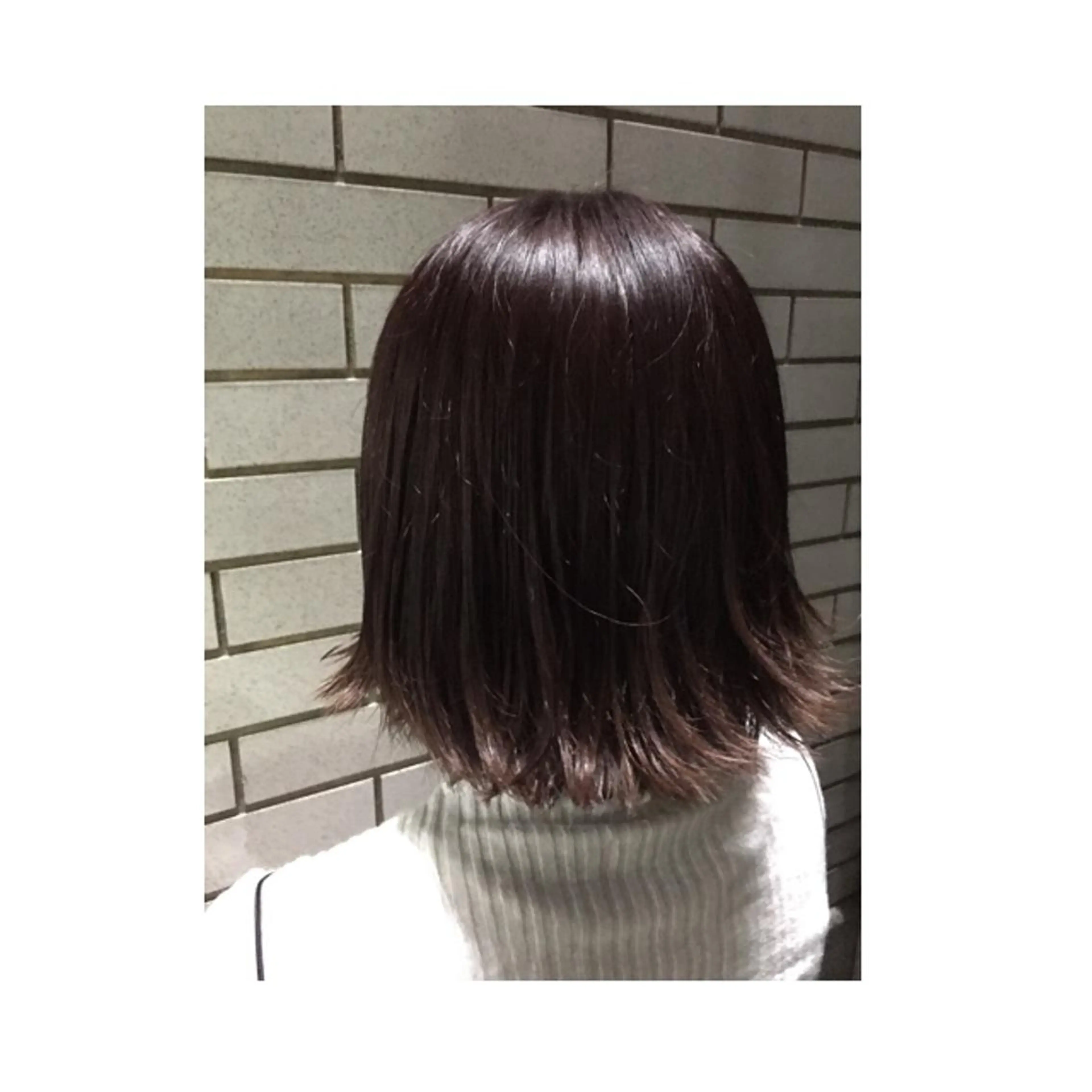 ショート 切りっぱなしボブ ボブ ショートが得意✂️ 藤城建太のヘアスタイル