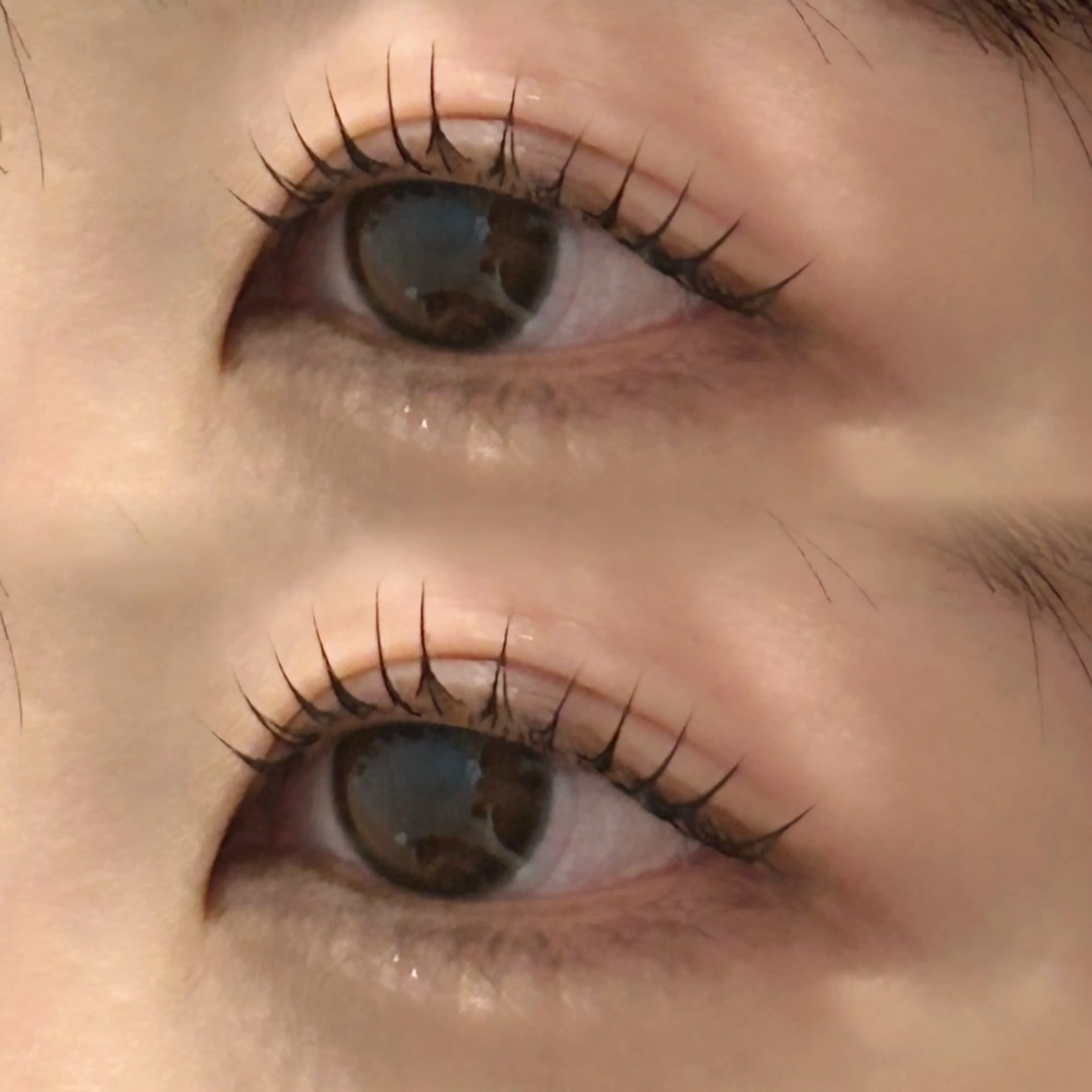 ˗ˋˏ12月限定🐕‍🦺🤍ྀི🎀 ˎˊ˗ 選べるまつ毛パーマ & Lash addict 付き 🪄✨️の写真