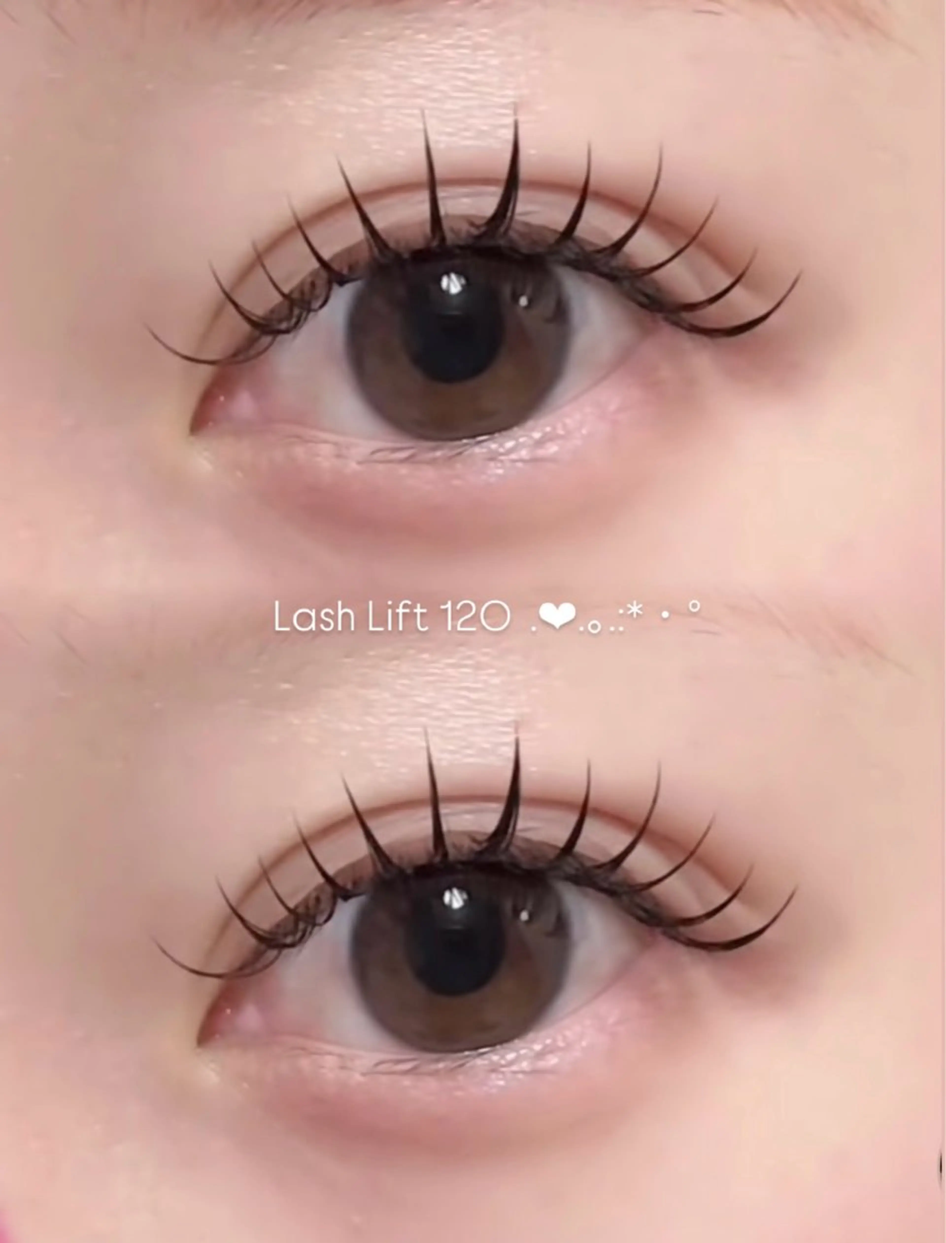 平日限定🎀LED フラットラッシュ🎀の写真