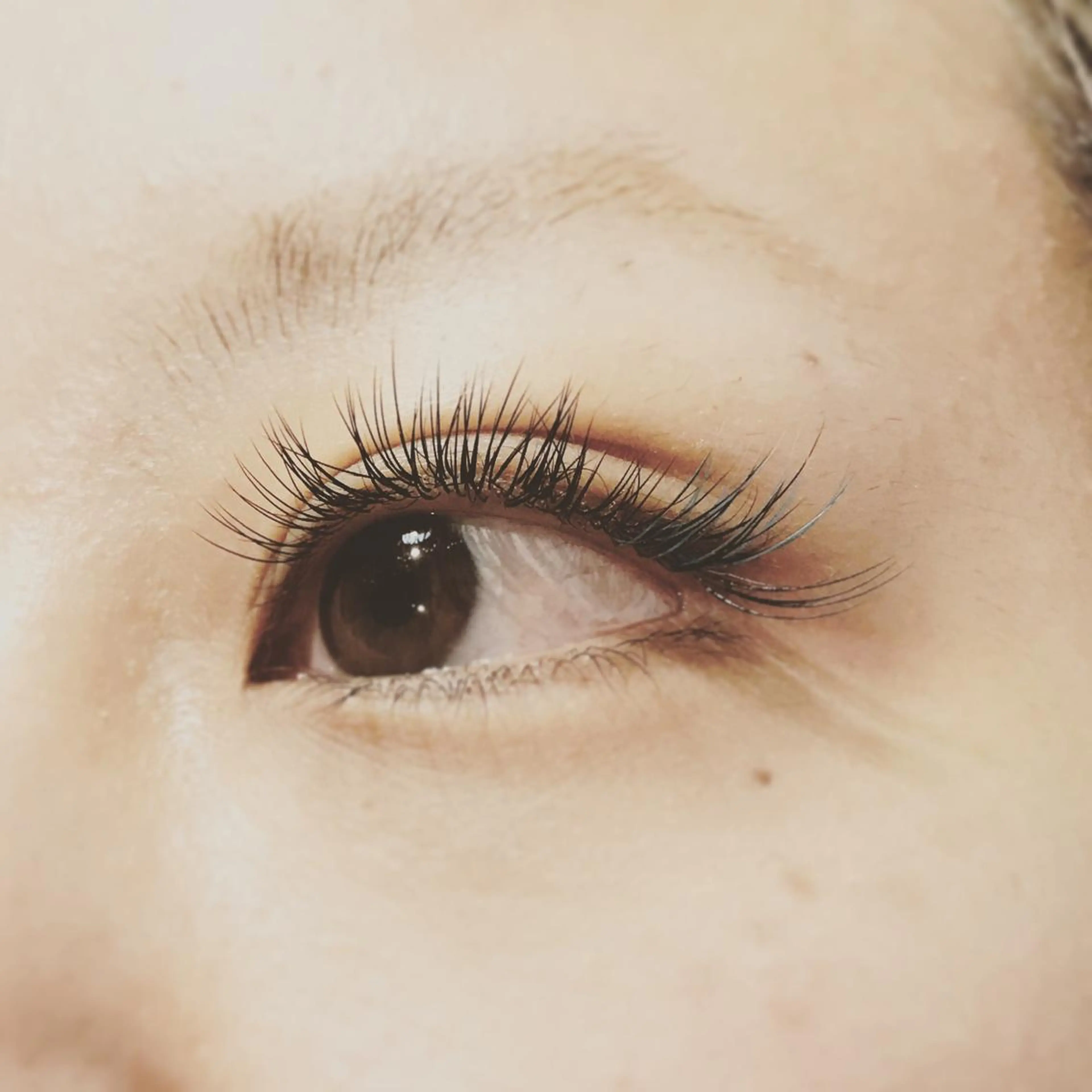 マツエク・マツパ Bカール Jカール にっくに ちひろの眉毛・アイブロウイメージ