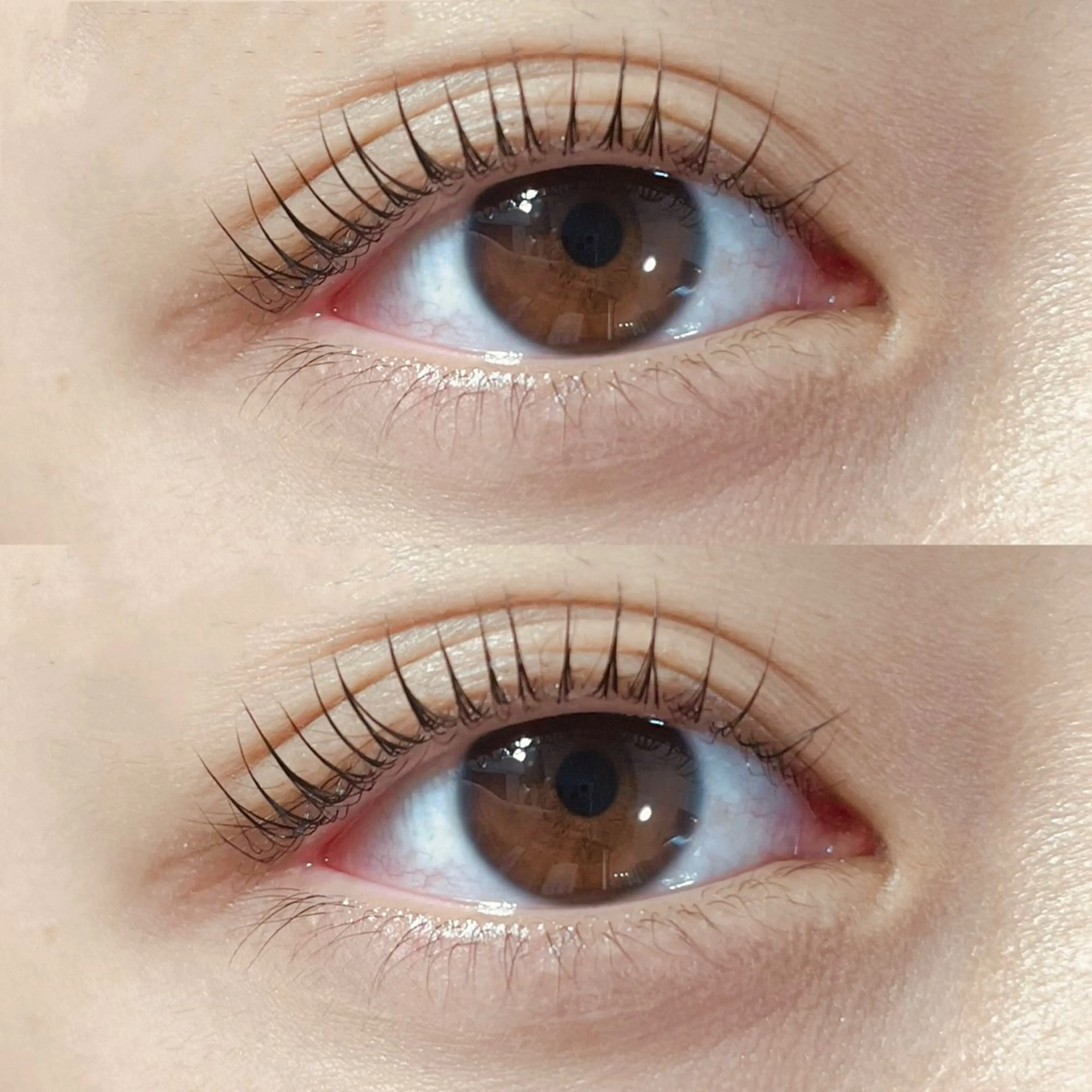 【まつ毛パーマ☆立ち上げ×ストレート】 💖ラシュリー💖の写真