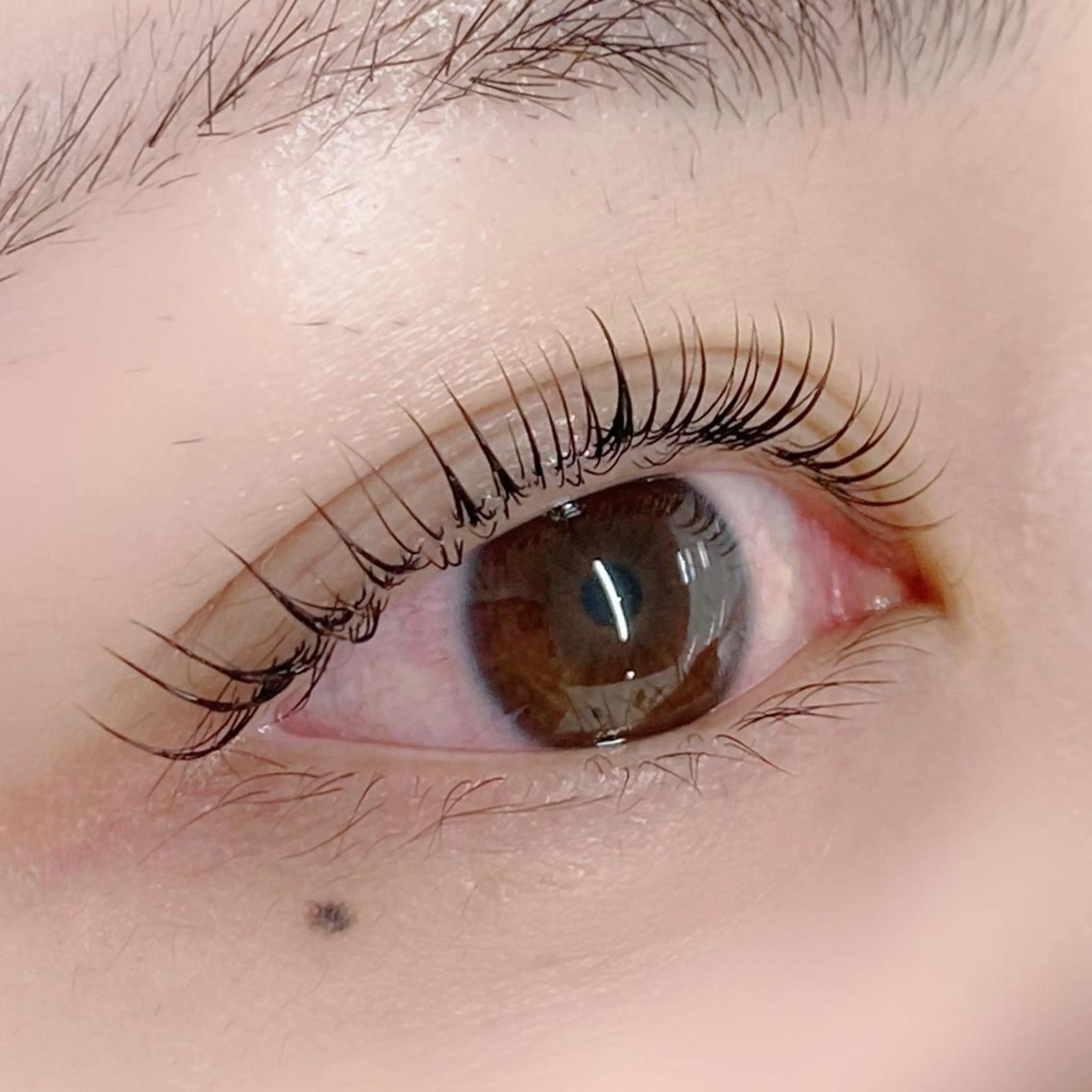 マツエク・マツパ AIRISU𓍯 eyelashのマツエク・マツパデザイン