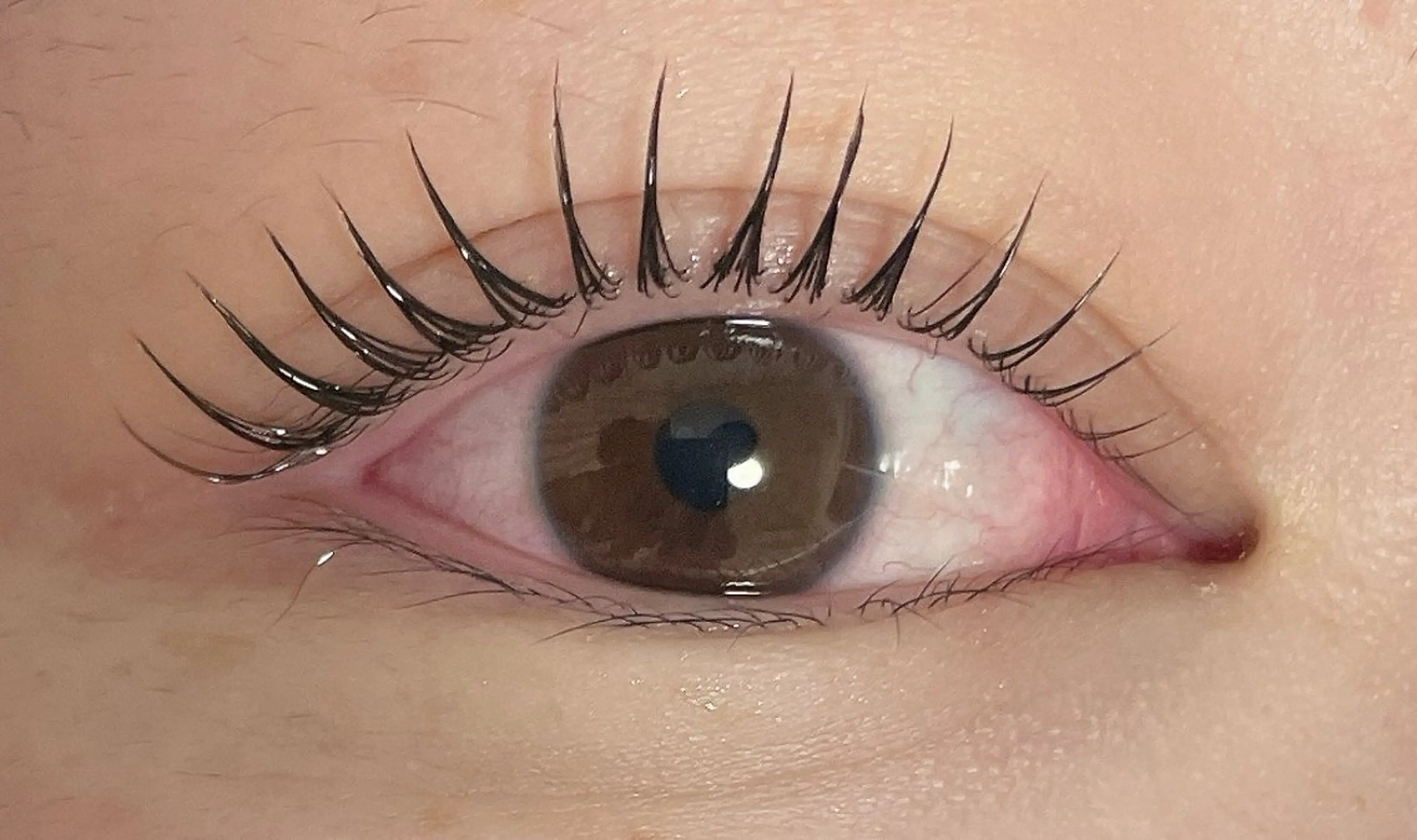 マツエク・マツパ マツパ Beautycat Chihiroのマツエク・マツパデザイン