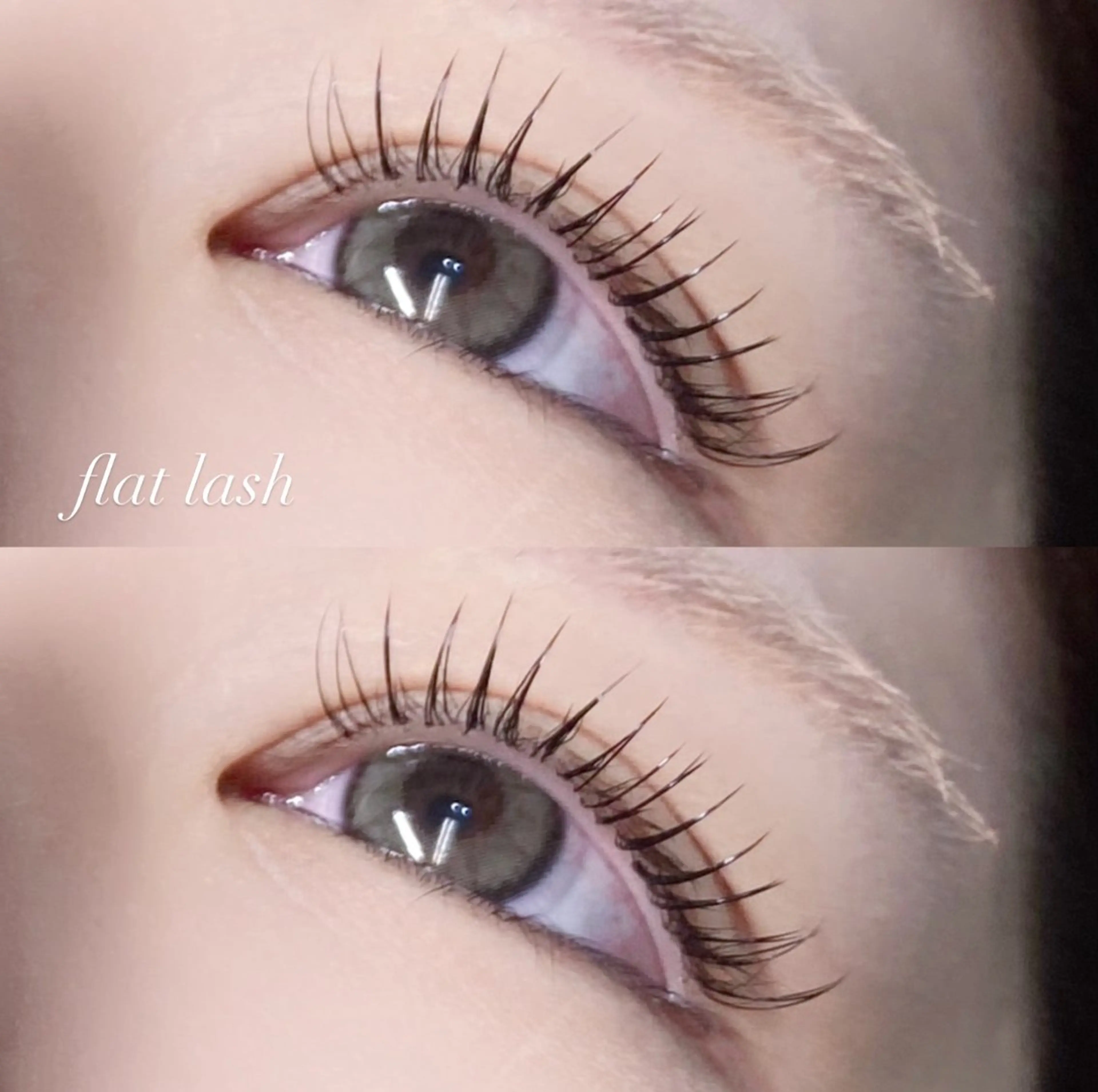 マツエク・マツパ フラットラッシュ MAQUIA 郡山桑野店🪽大内のマツエク・マツパデザイン