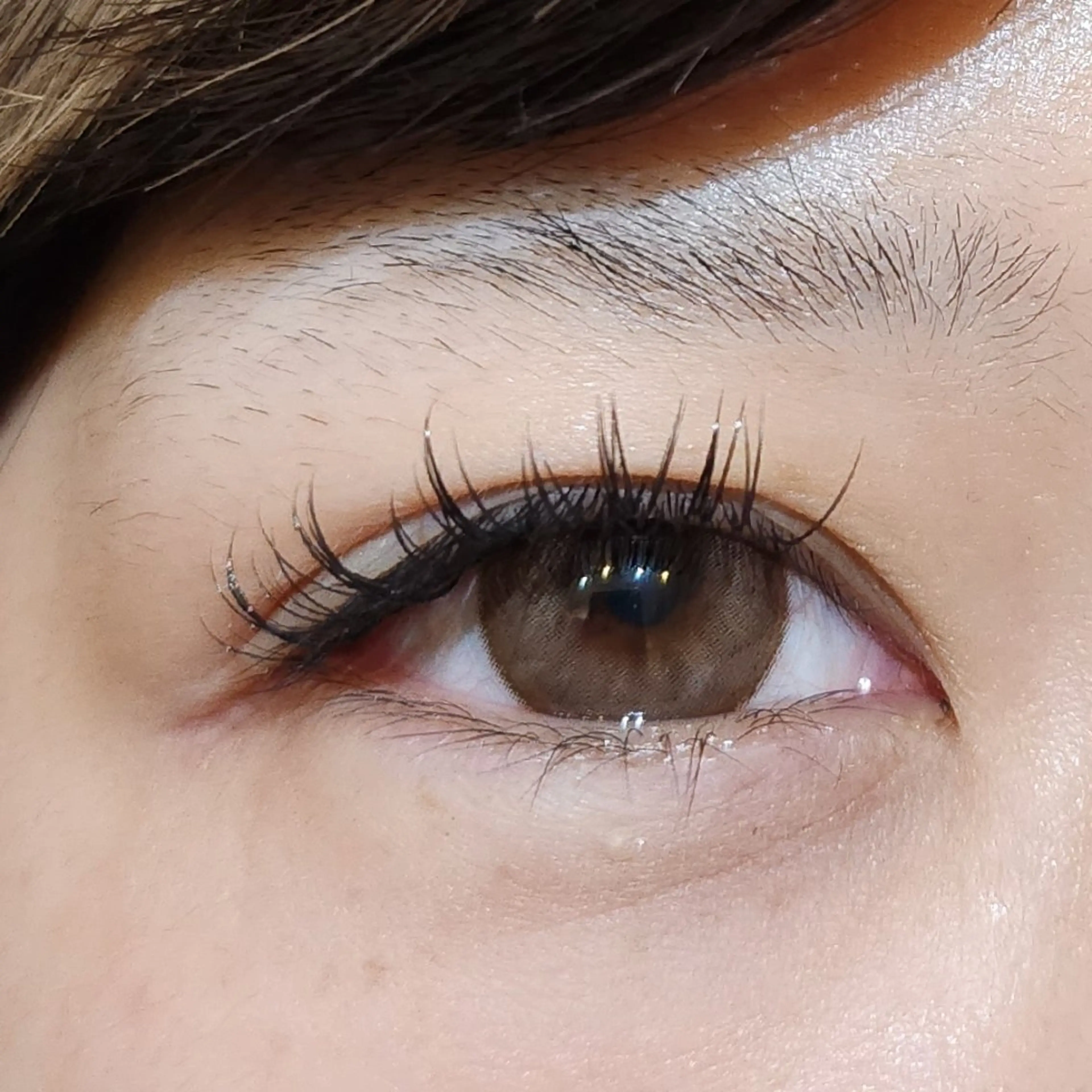 マツエク・マツパ 束感まつ毛 ワンホンマツエク マツエク 💜bora .のネイルデザイン