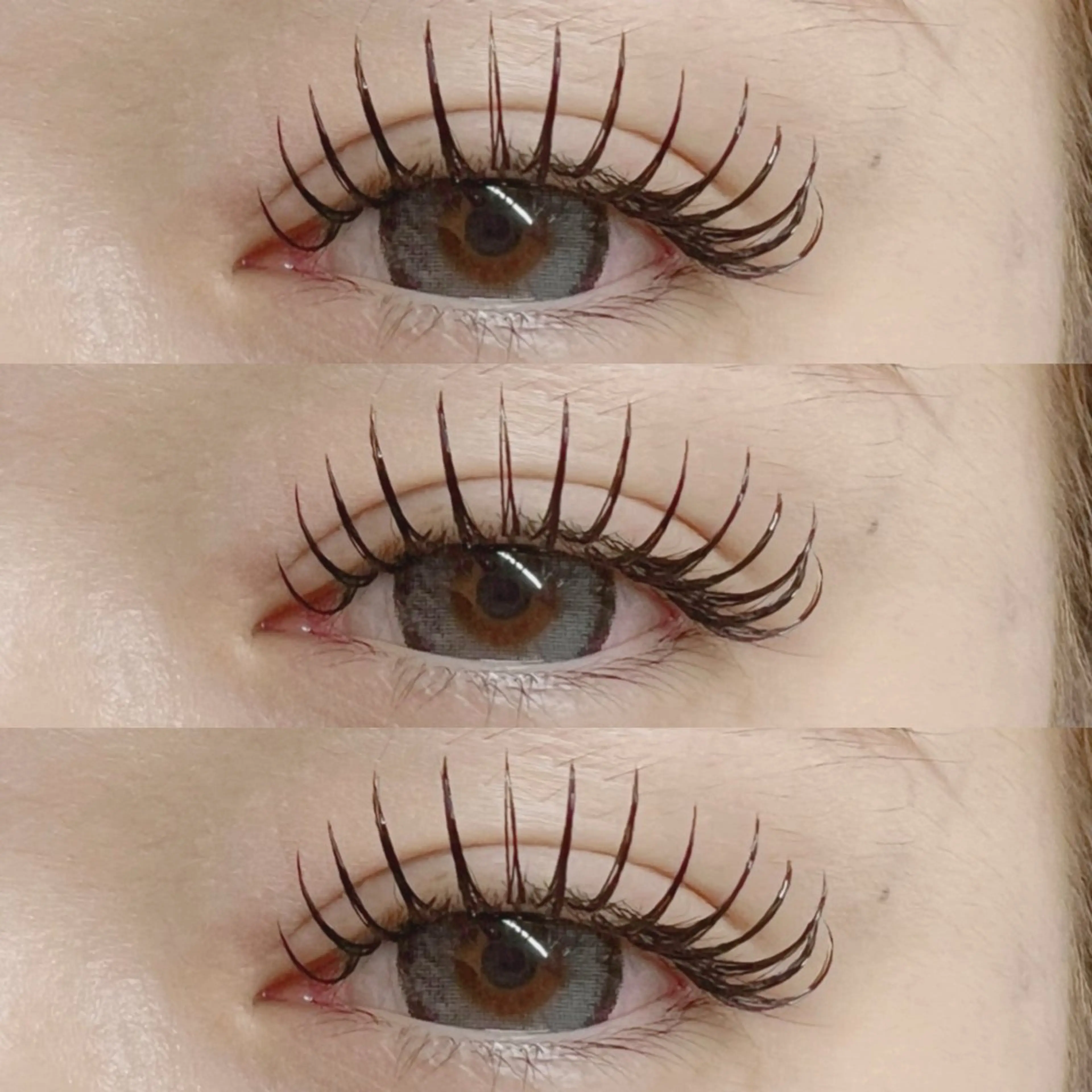 オフ無料/フラットラッシュ180本🌼コーティング付の写真