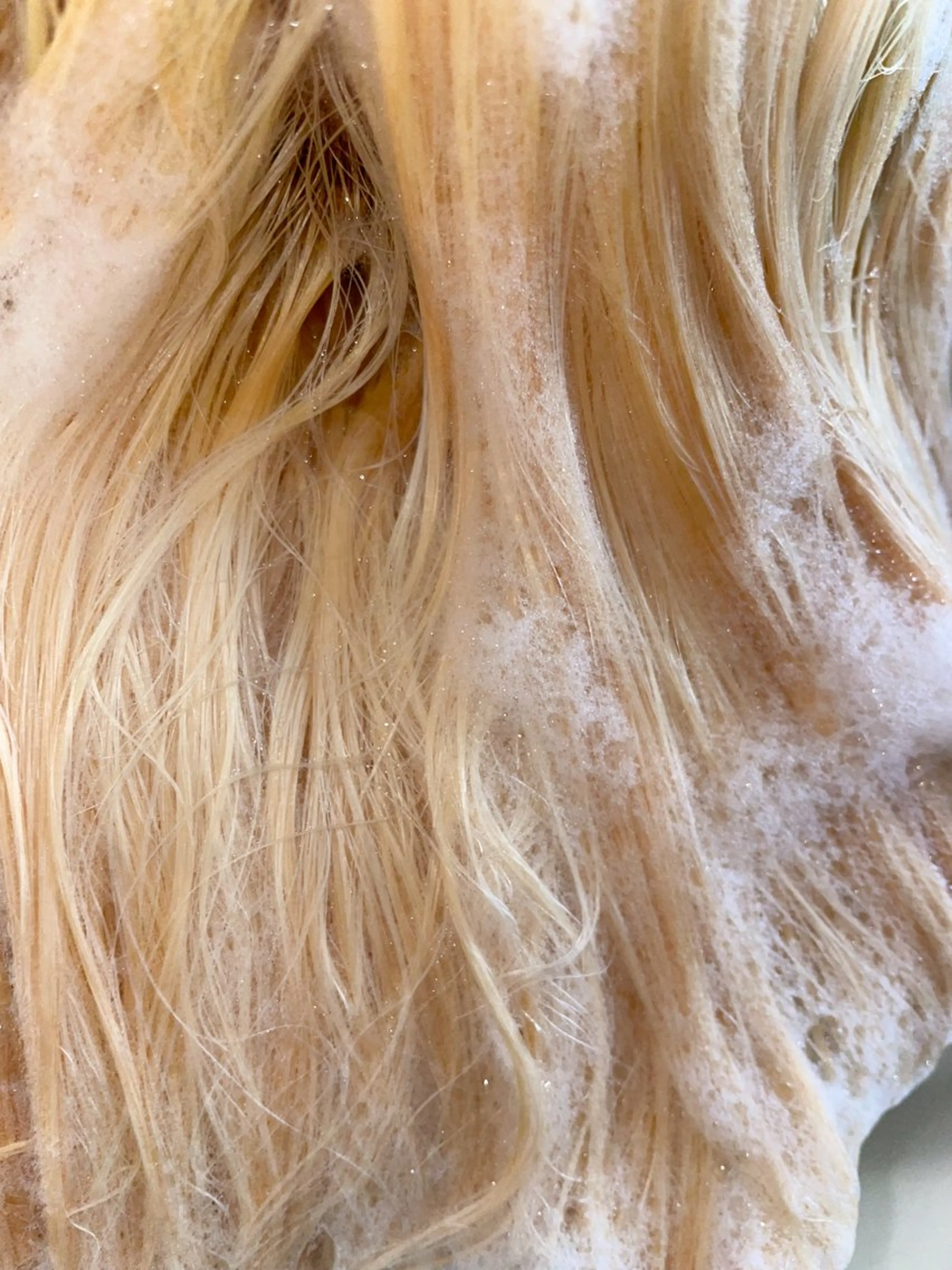 🌟ブリーチ🌟（ケアブリーチの場合＋¥500）（リタッチのみ🉑）の写真