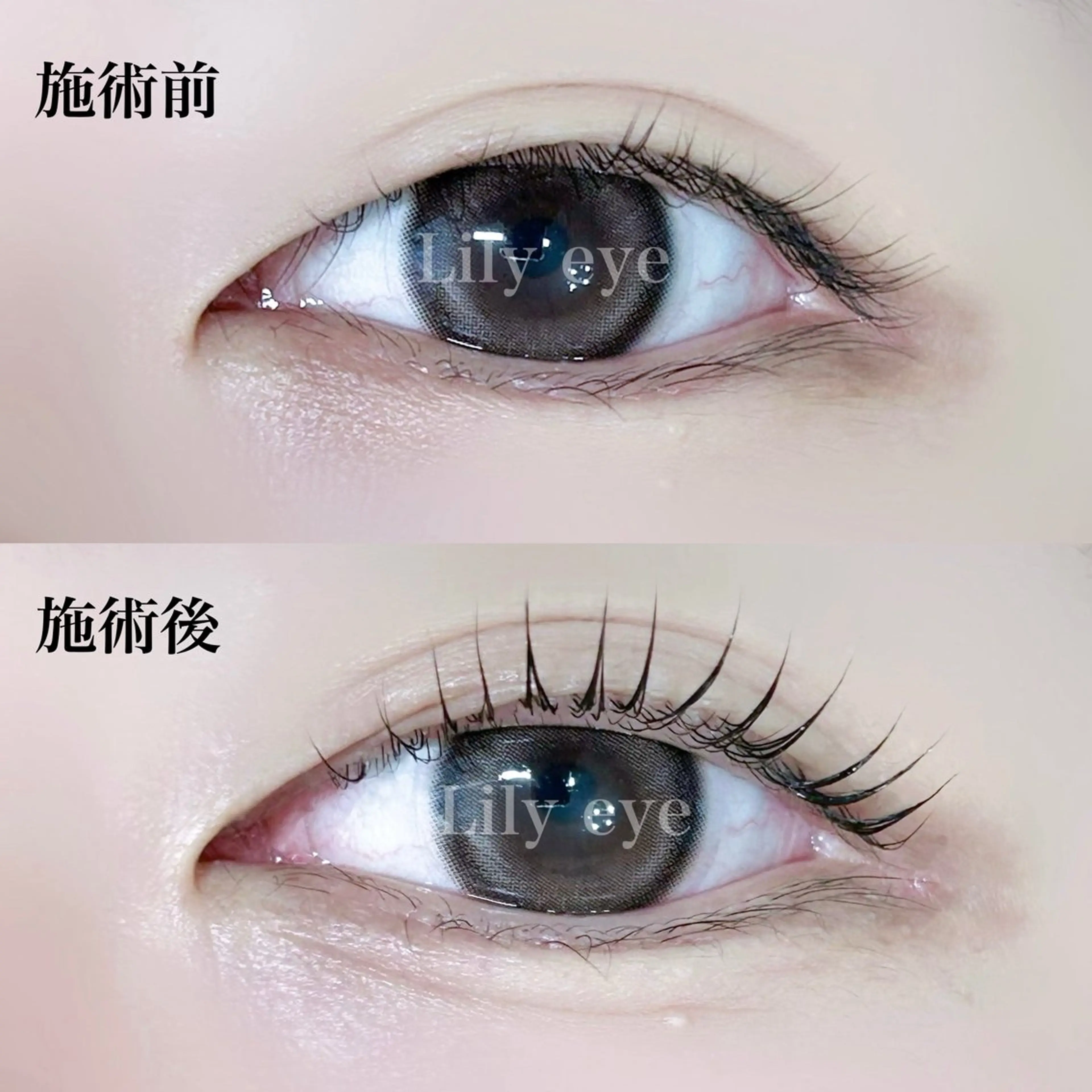 マツエク・マツパ マツパ まつ毛専門店 Lily eyeのマツエク・マツパデザイン