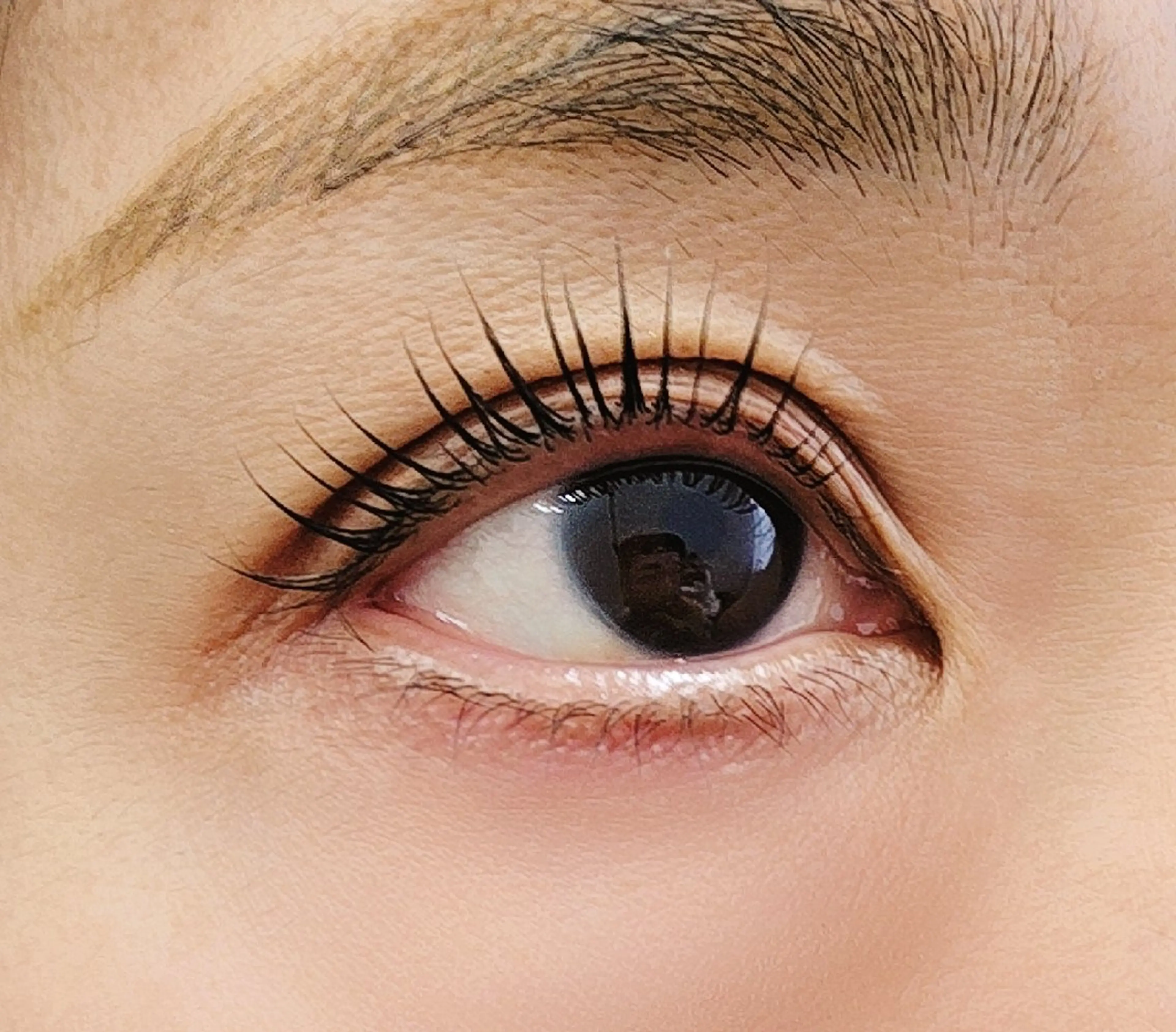 ⭐まつ毛パーマ⭐+仕上げコーティングの写真