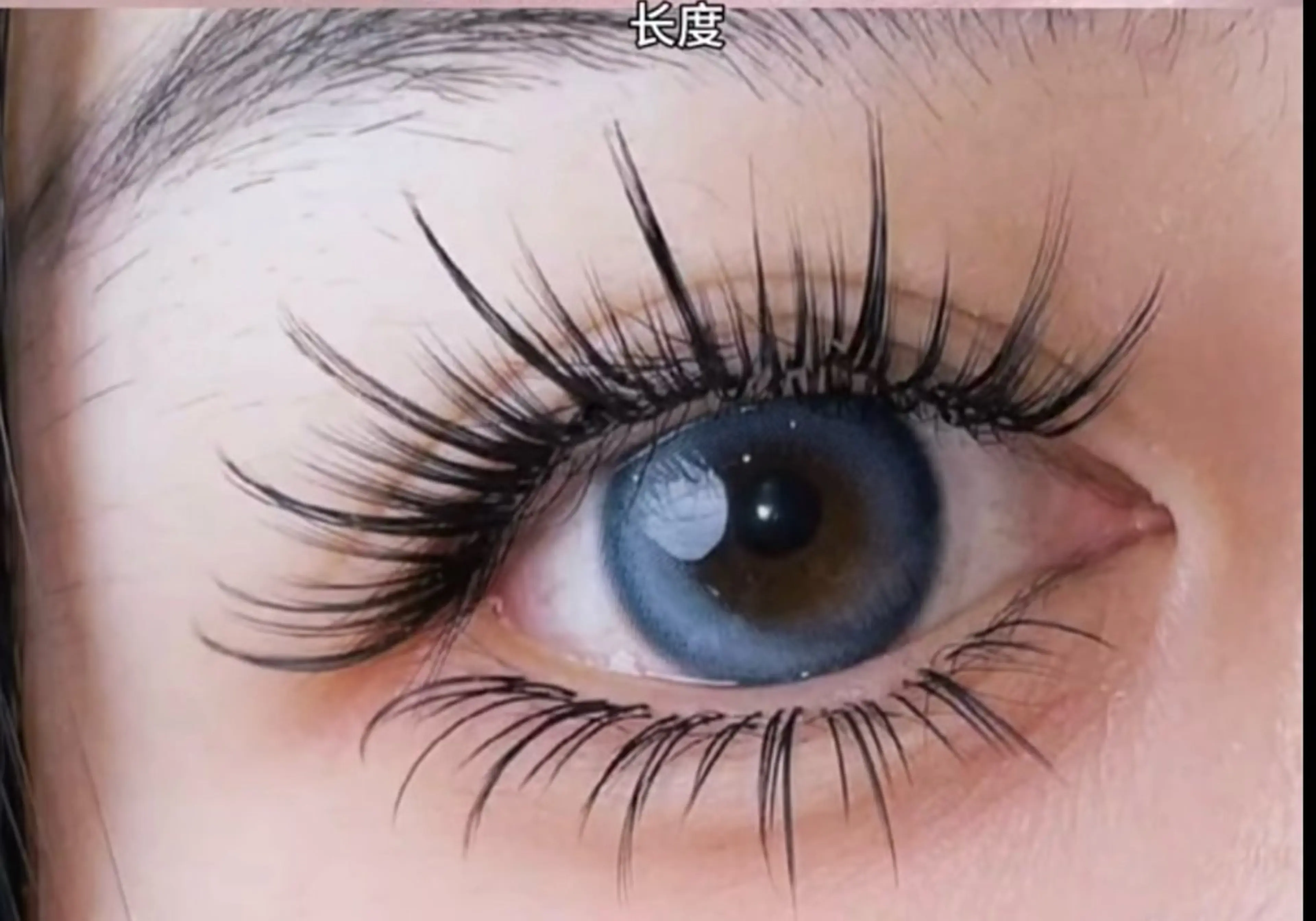 下まつげの写真
