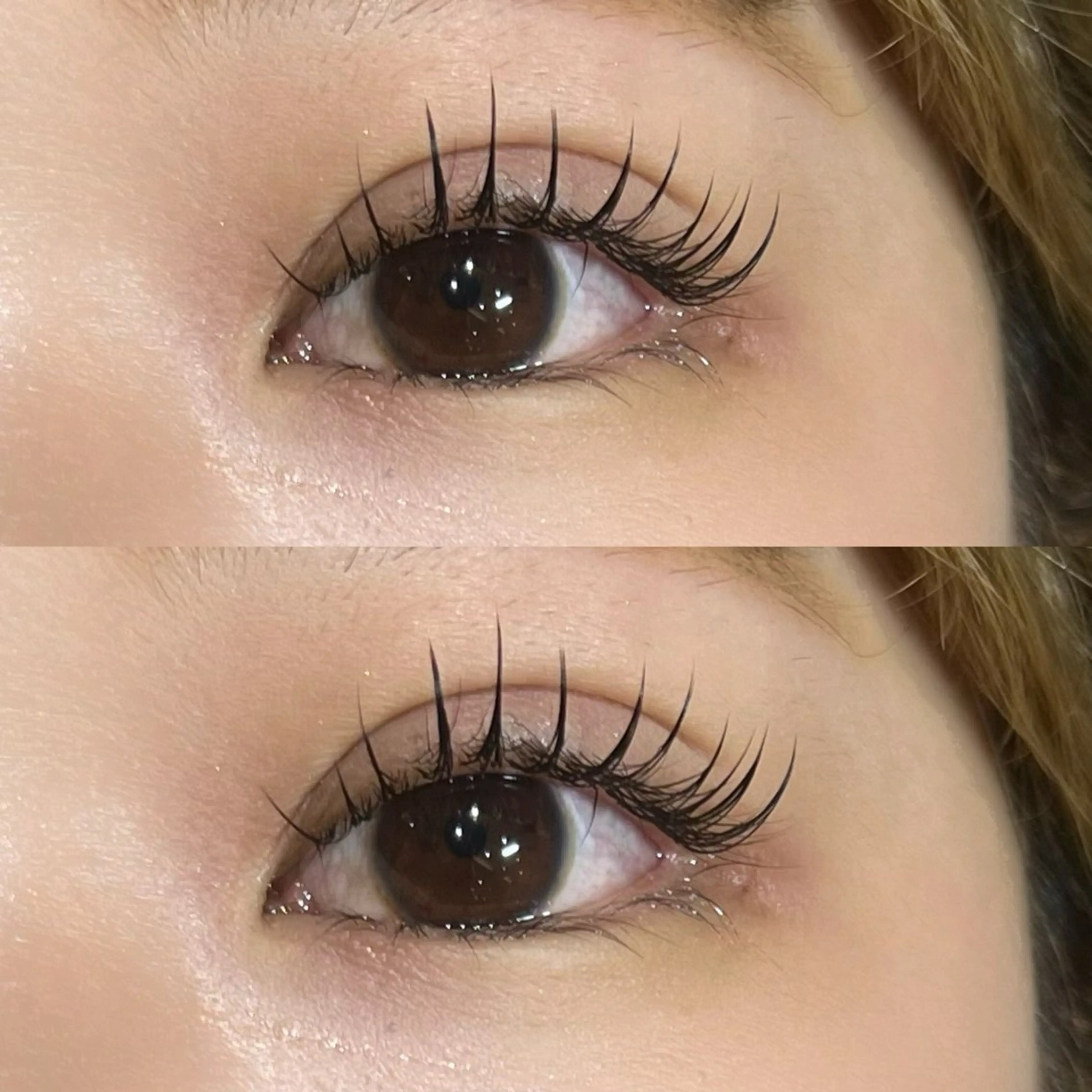 🖤【持続力UP!LEDフラットラッシュ140本】オフ込み🌿/もち最強🫧の写真