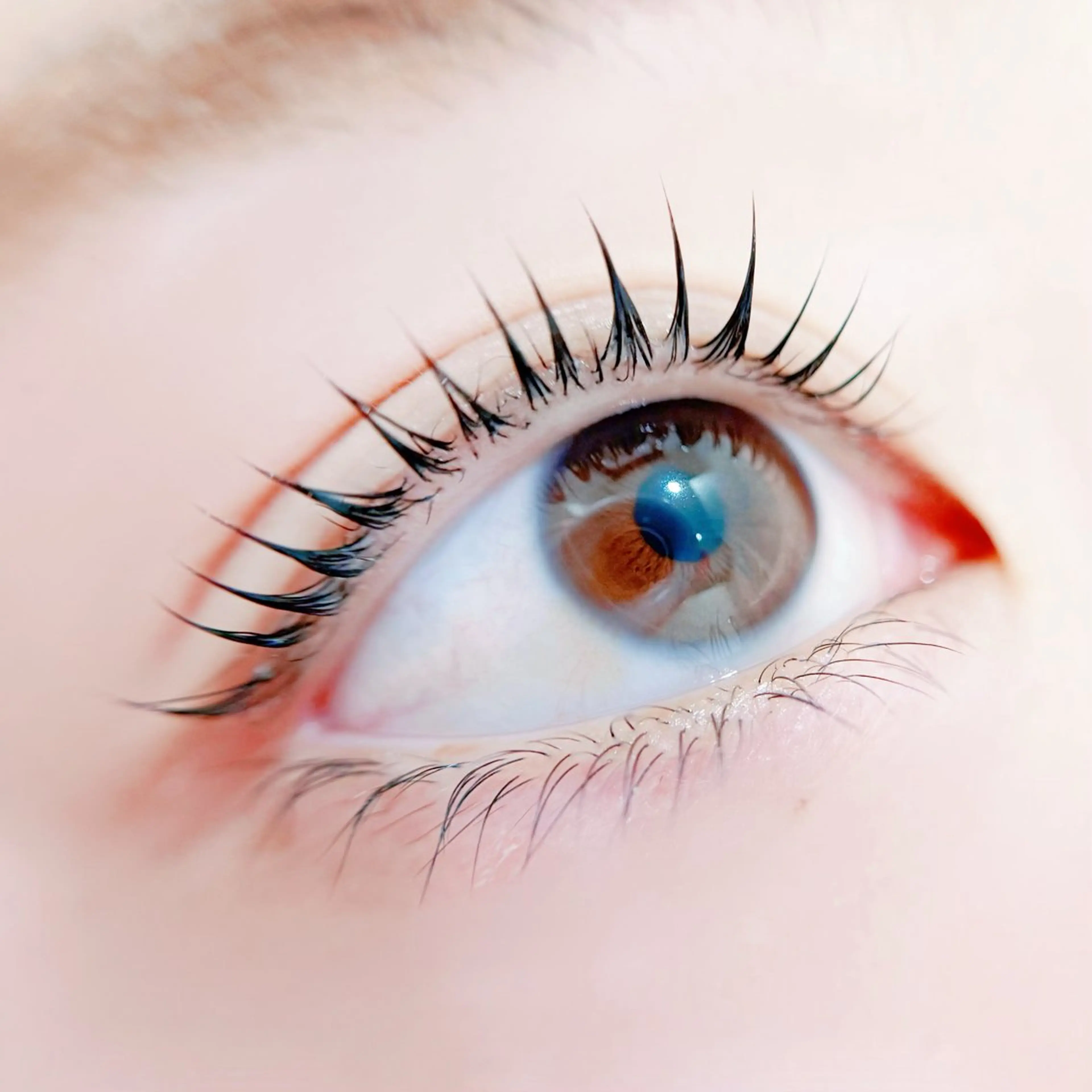 《平日限定》人気No. 1束感マスカラパーマ¥5,500→4400まつげパーマ濃さUP🎀の写真