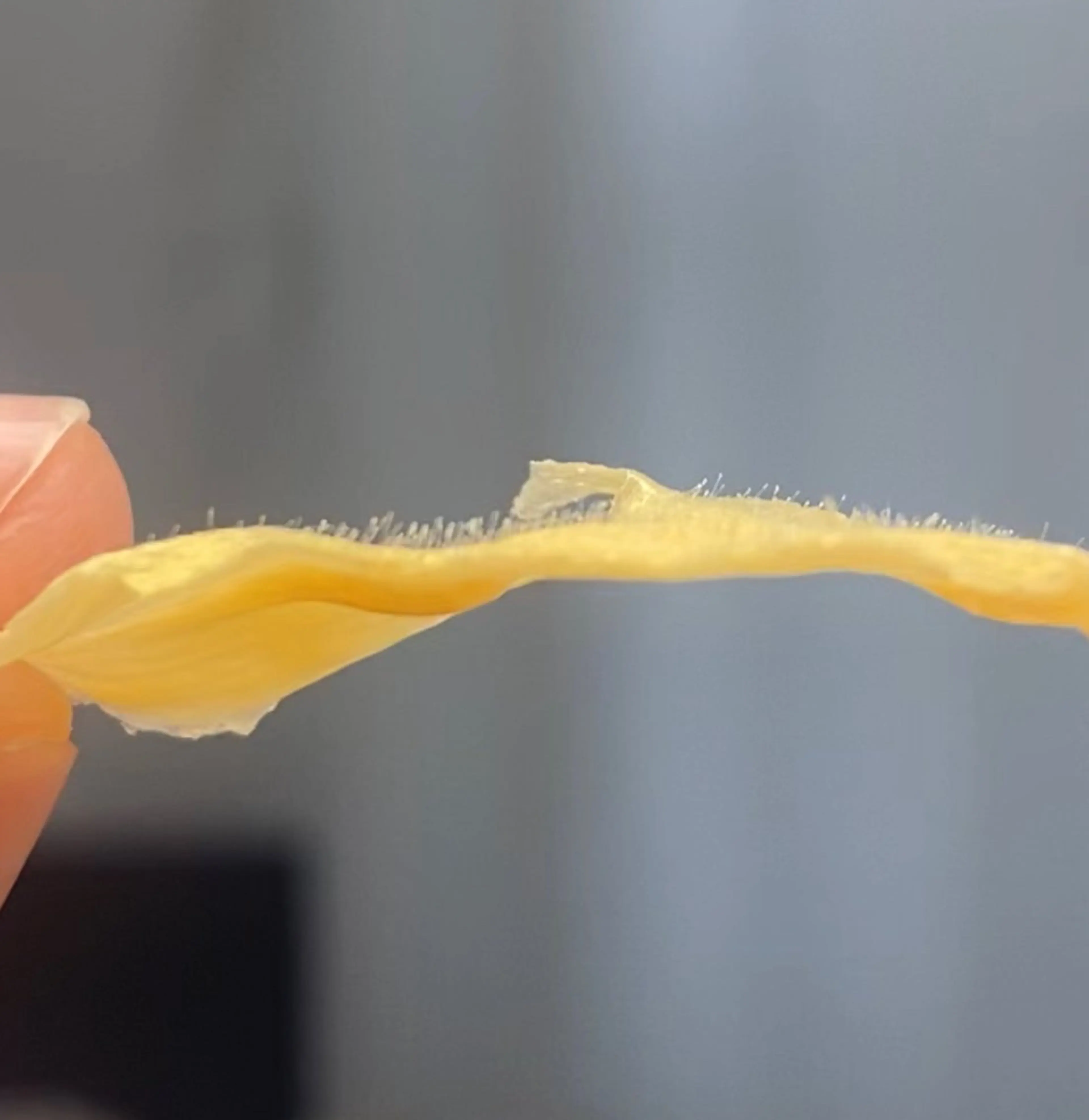 エステ 韓国🇰🇷価格 サロン_Nbibiのエステ・リラクイメージ