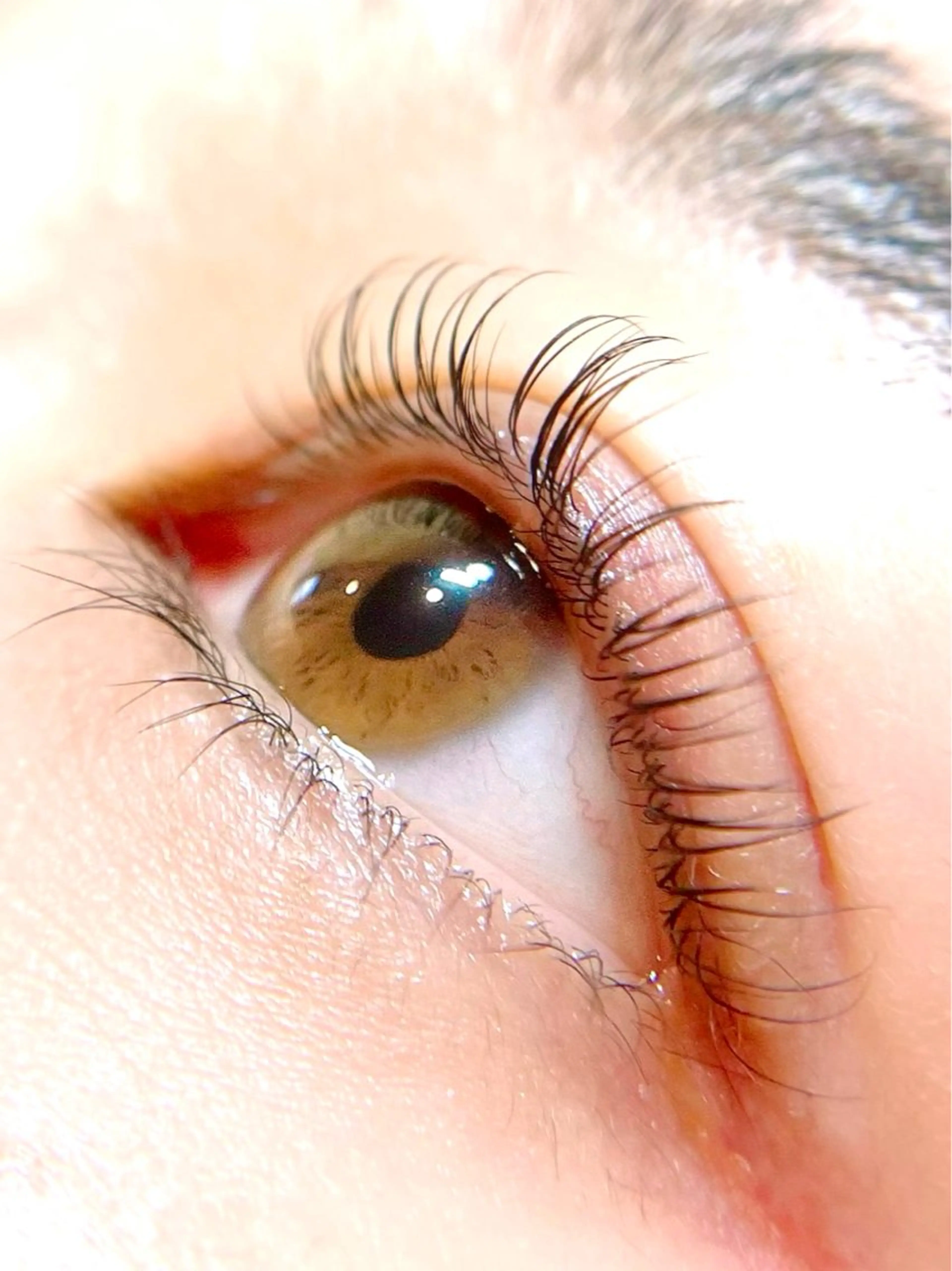 マツエク・マツパ PRIMO🐈🌱 マツパ/黒ティントのマツエク・マツパデザイン